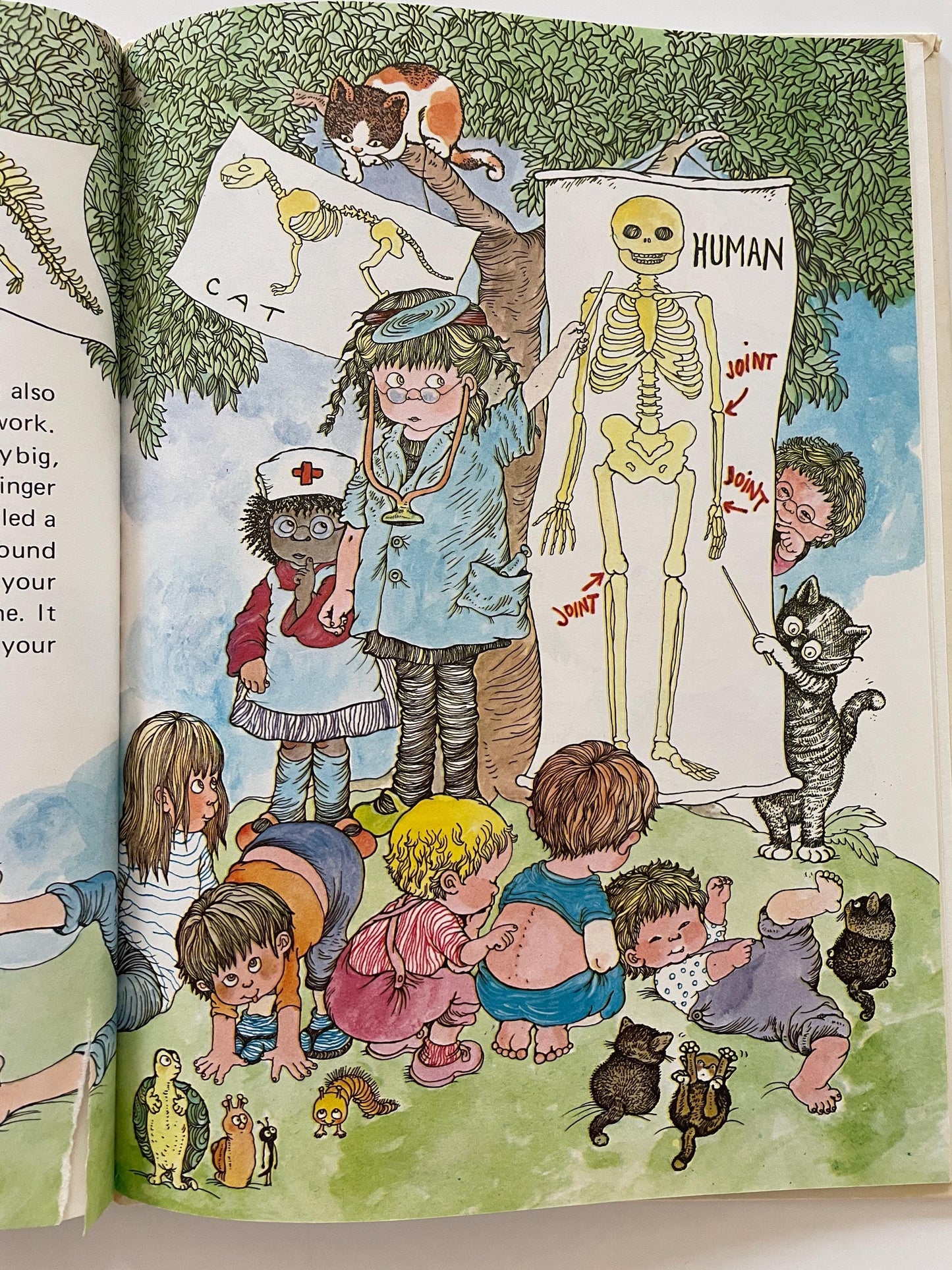 Susan Perl's Human Body Book by Leslie McGuire, illustrated by Susan Perl