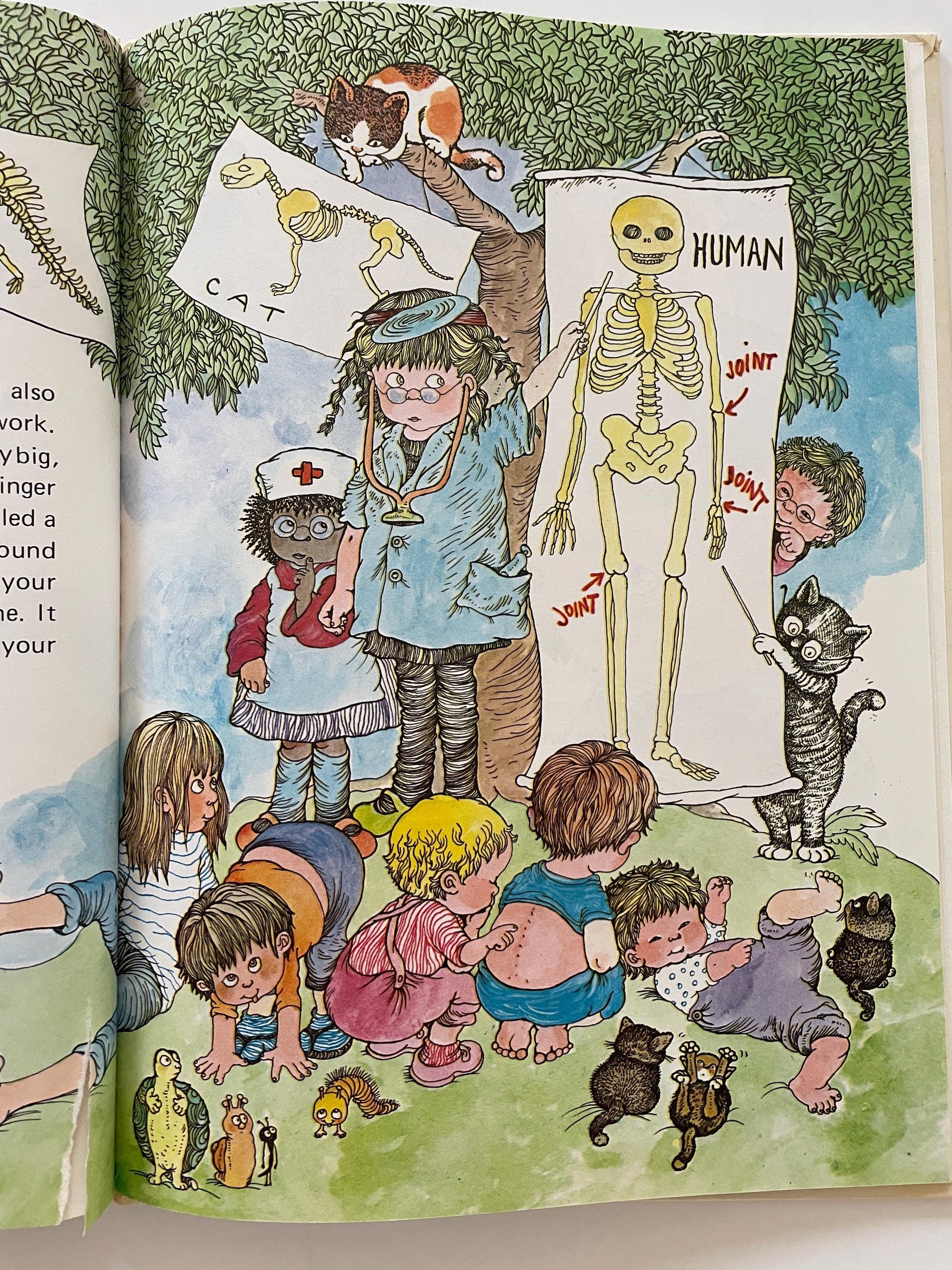 Susan Perl's Human Body Book by Leslie McGuire, illustrated by Susan Perl