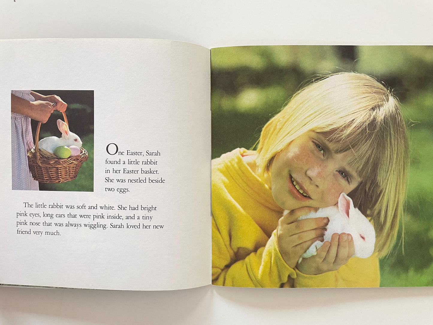 The Little Rabbit by Judy Dunn, Photographs by Phoebe Dunn