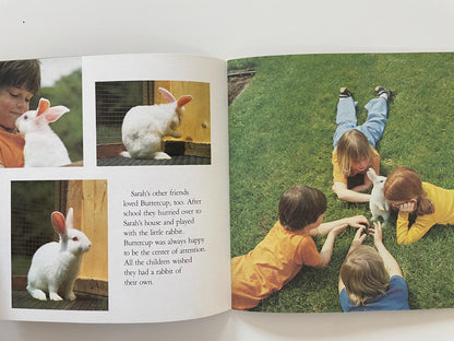 The Little Rabbit by Judy Dunn, Photographs by Phoebe Dunn