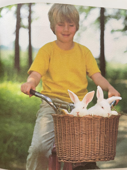 The Little Rabbit by Judy Dunn, Photographs by Phoebe Dunn