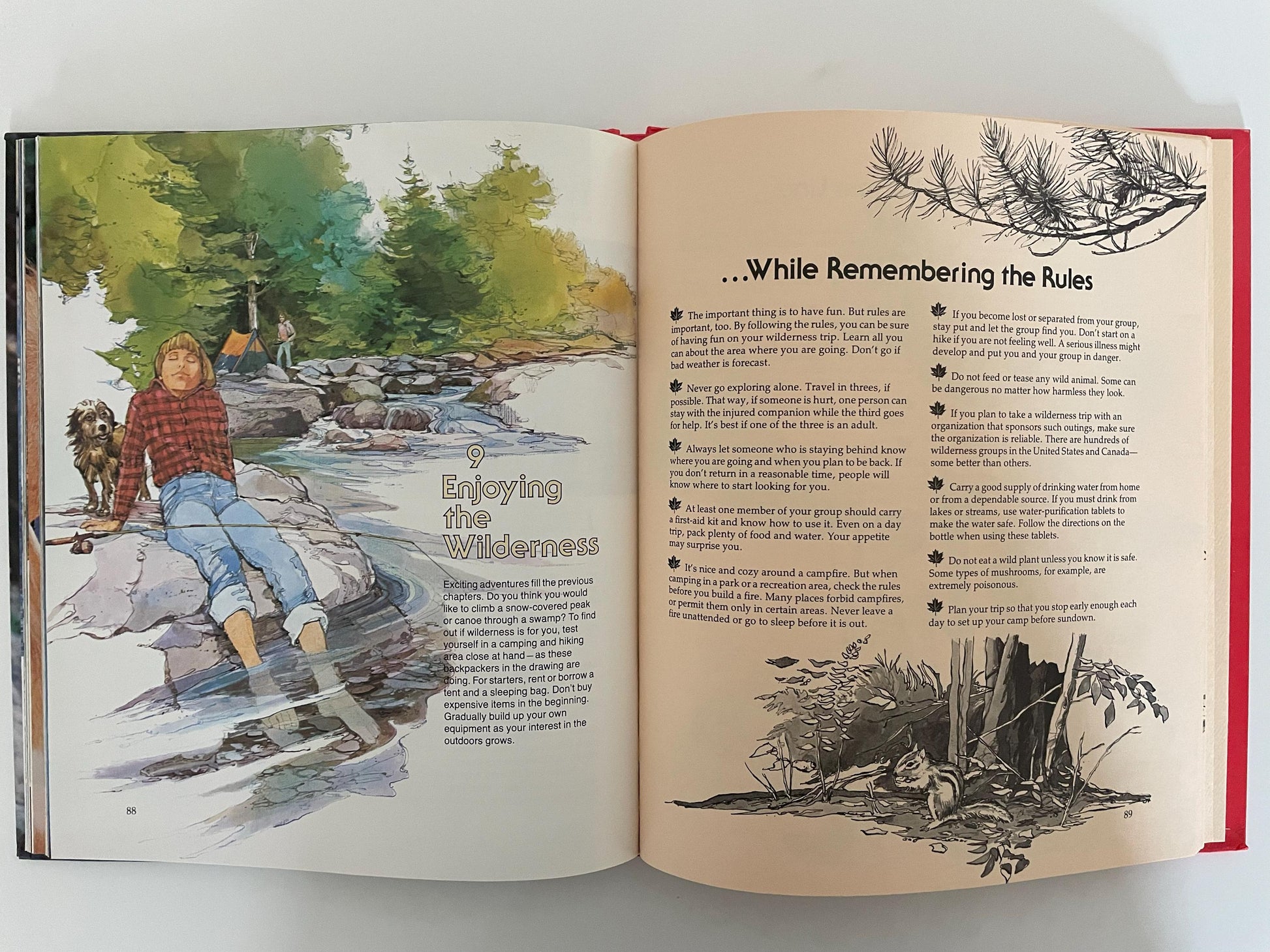 Wilderness Challenge: National Geographic Society Books for World Explorers, 1980