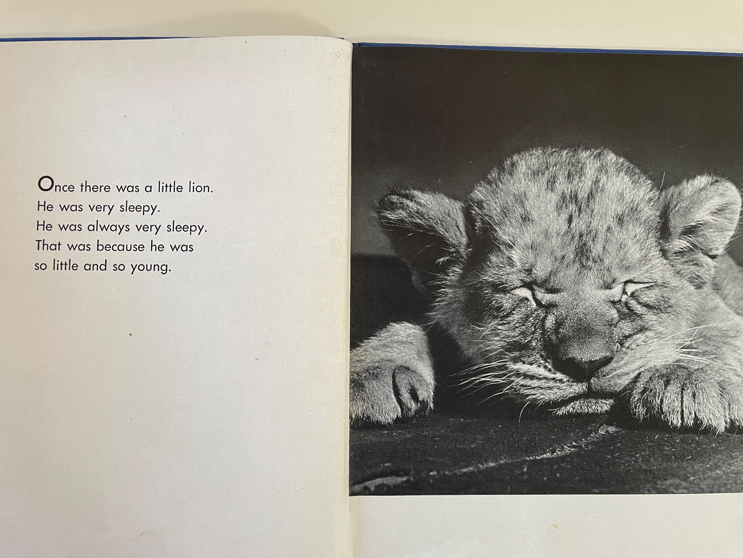 RARE The Sleepy Little Lion by Margaret Wise Brown, photographs by Ylla