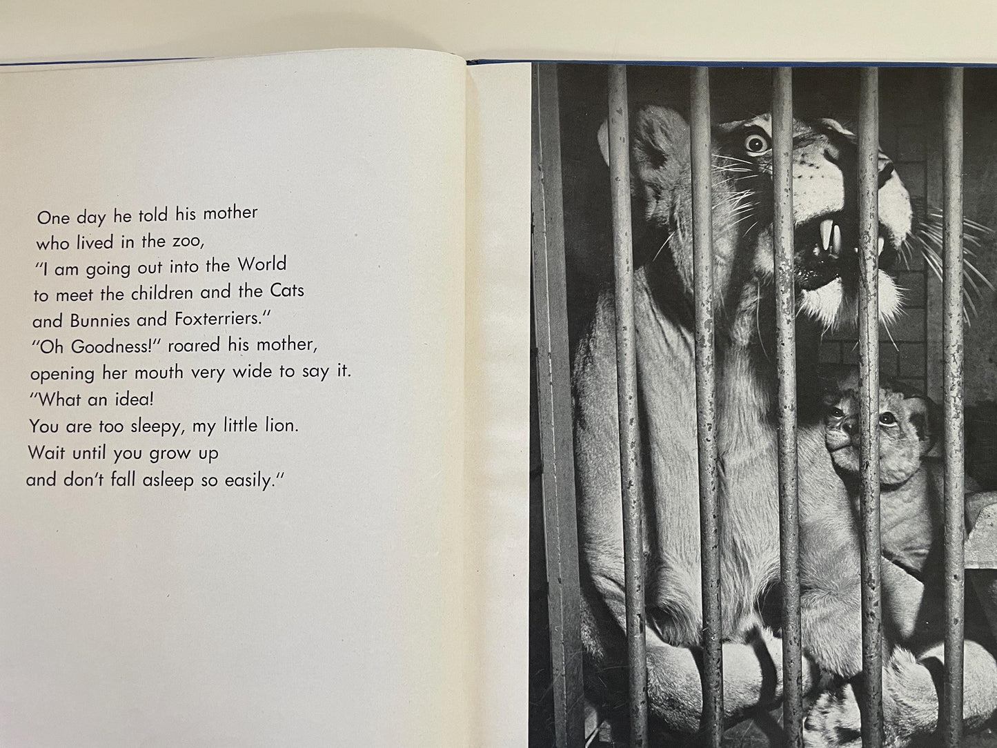 RARE The Sleepy Little Lion by Margaret Wise Brown, photographs by Ylla