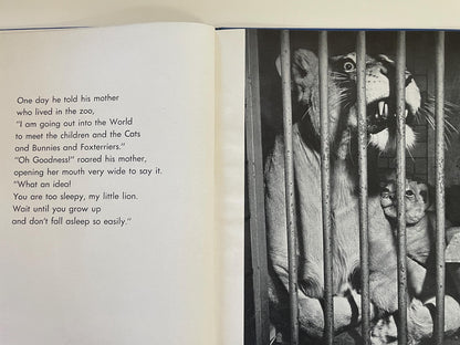 RARE The Sleepy Little Lion by Margaret Wise Brown, photographs by Ylla