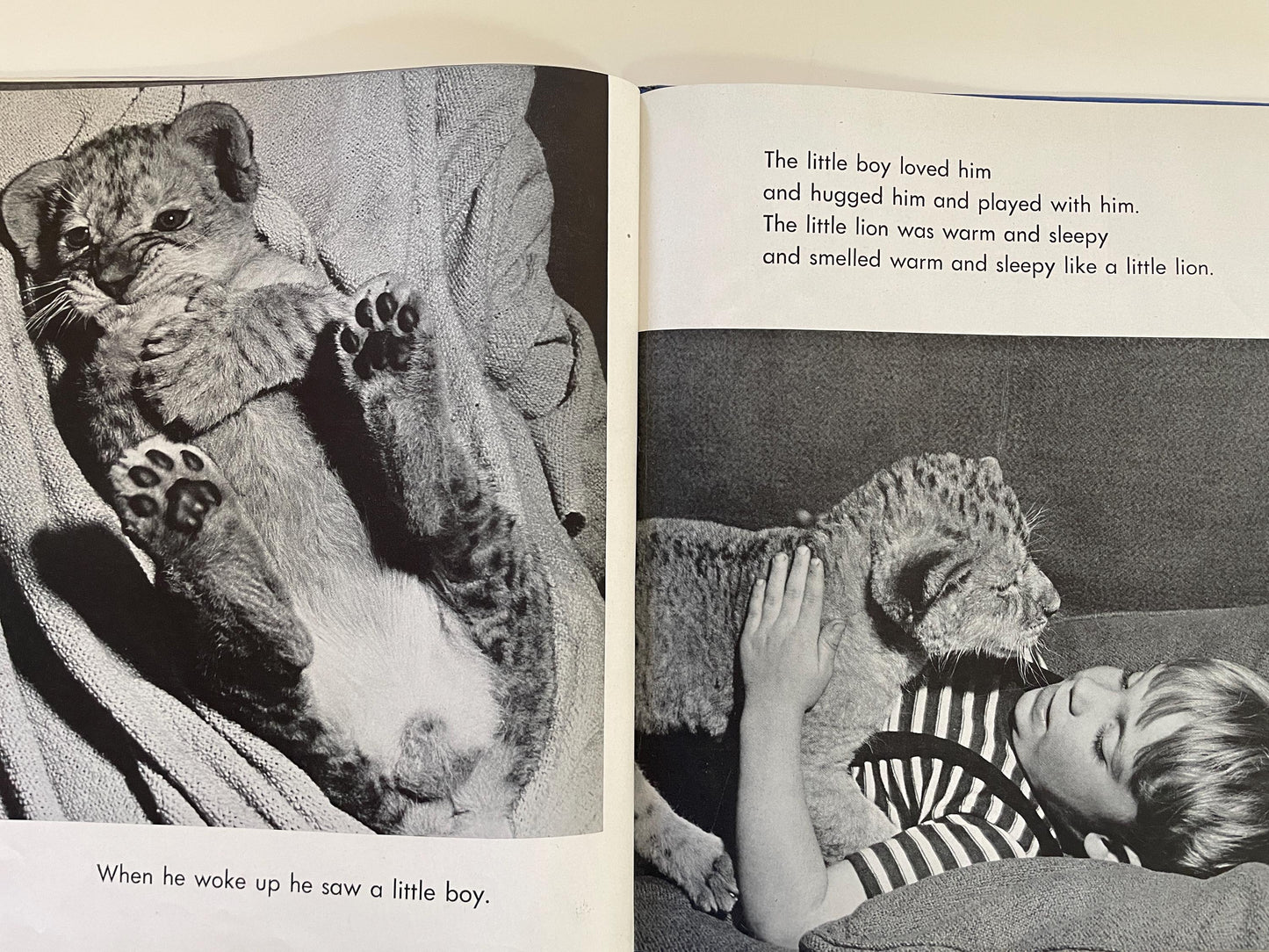 RARE The Sleepy Little Lion by Margaret Wise Brown, photographs by Ylla