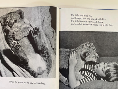 RARE The Sleepy Little Lion by Margaret Wise Brown, photographs by Ylla