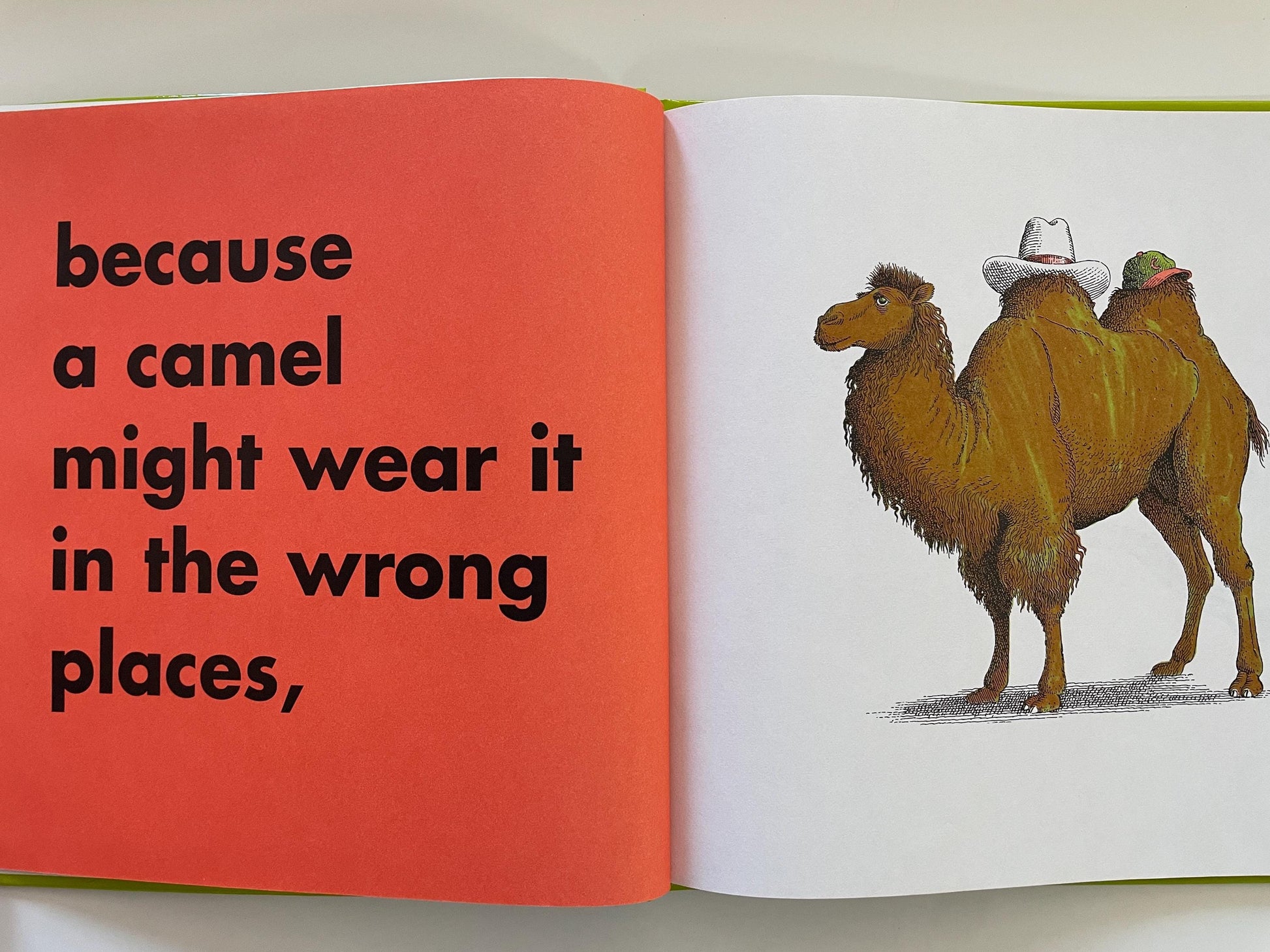 Animals should definitely not wear clothing by Judi Barrett, illustrations by Ron Barrett