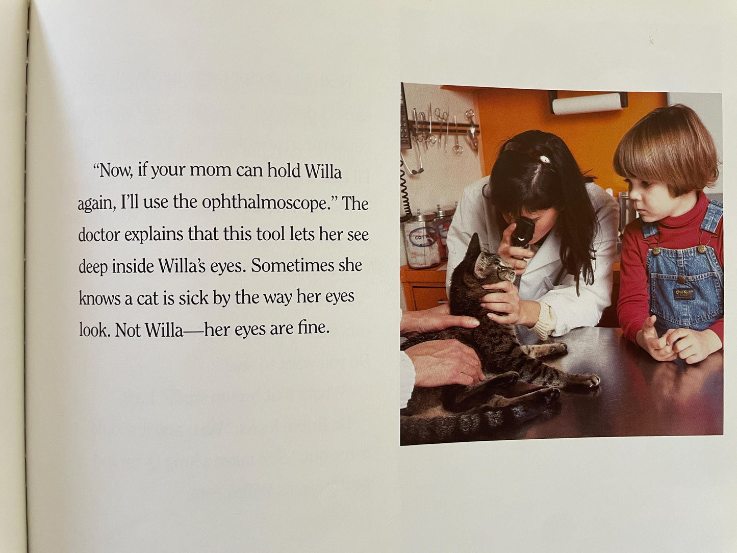 Taking My Cat to the Vet by Susan Kuklin