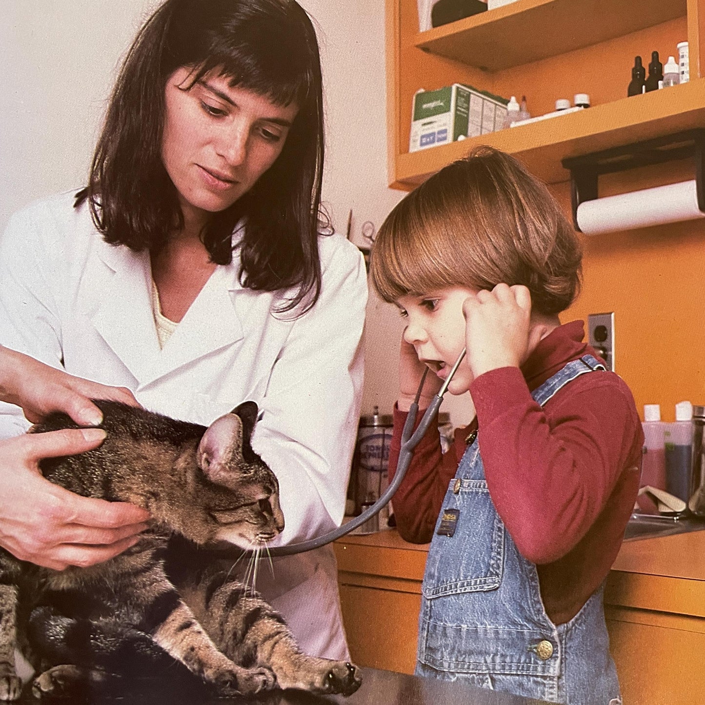 Taking My Cat to the Vet by Susan Kuklin