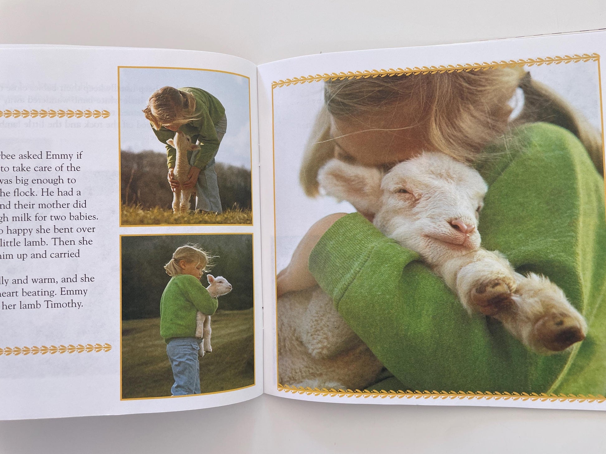 The Little Lamb by Judy Dunn, photographs by Phoebe Dunn