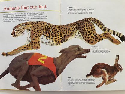 All Kinds of Animals