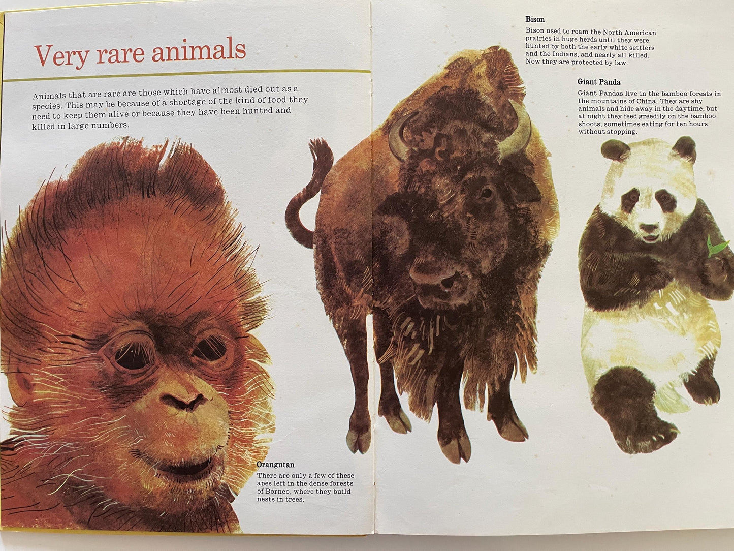 All Kinds of Animals