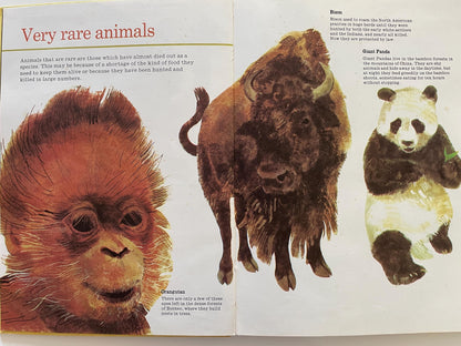 All Kinds of Animals
