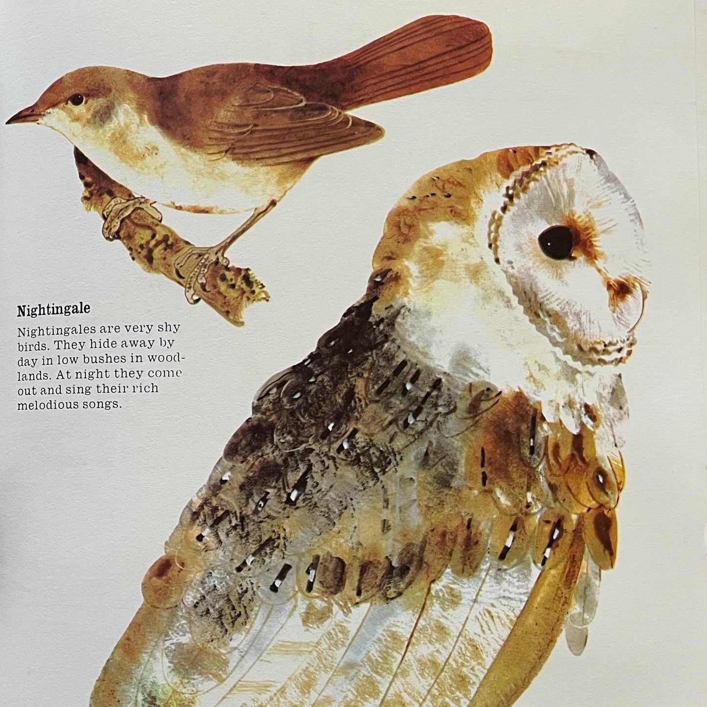 All Kinds of Animals