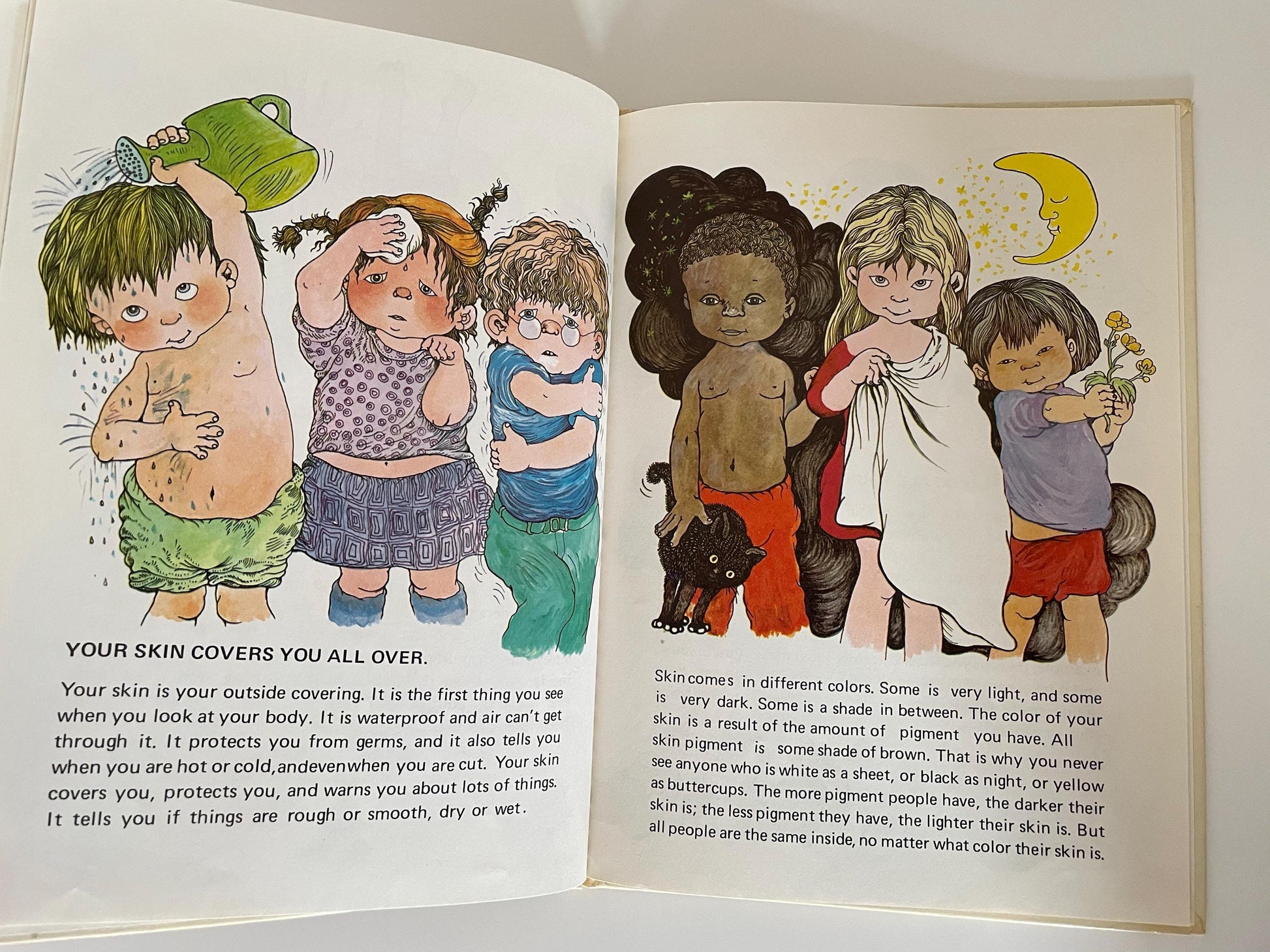 Susan Perl's Human Body Book