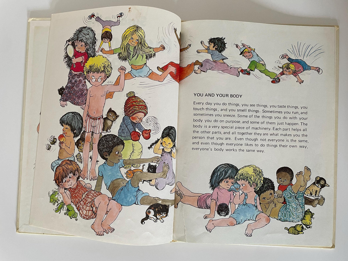 Susan Perl's Human Body Book by Leslie McGuire, illustrated by Susan Perl