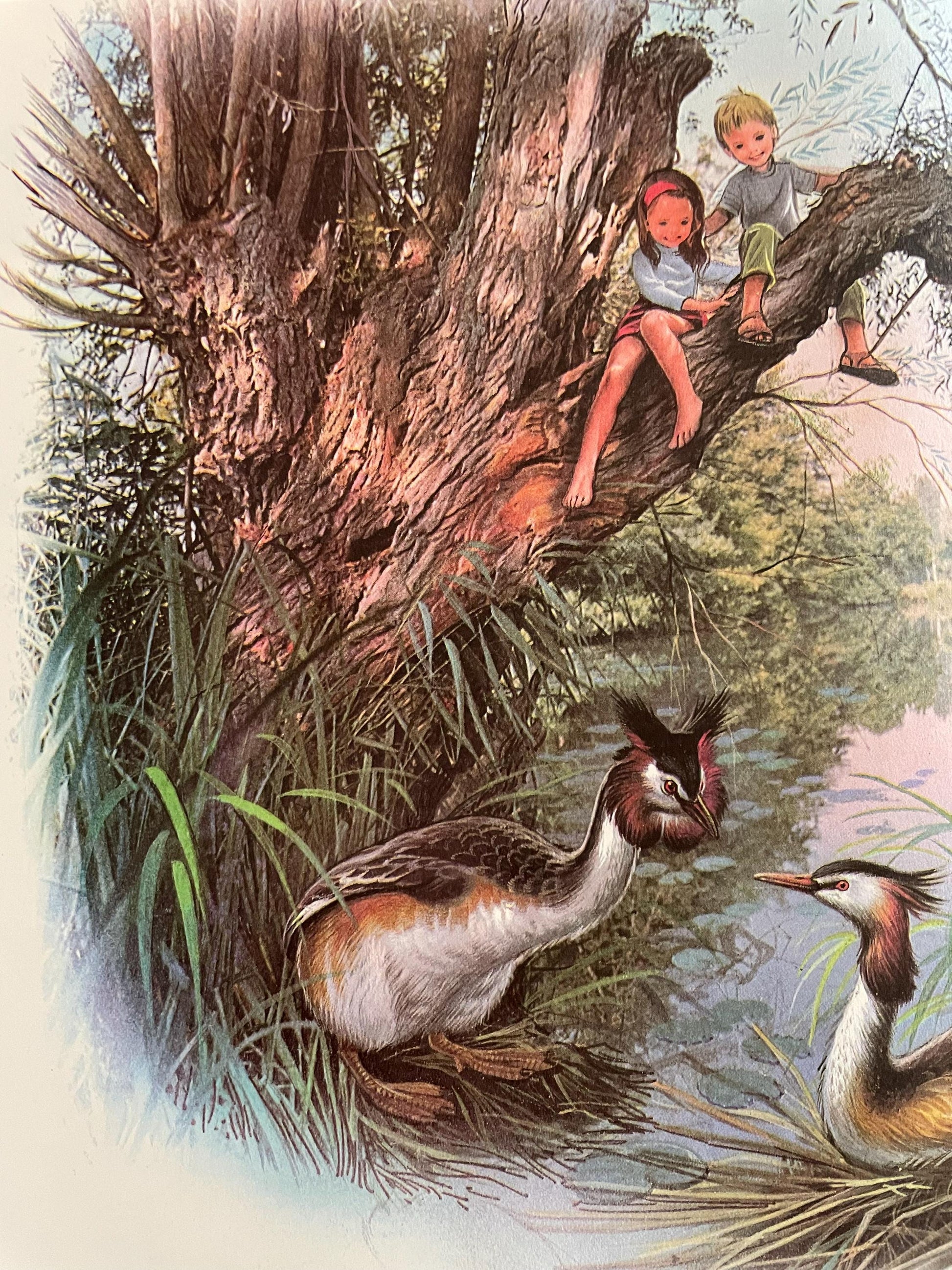 Mark and Michelle on Vacation by Marcel Marlier