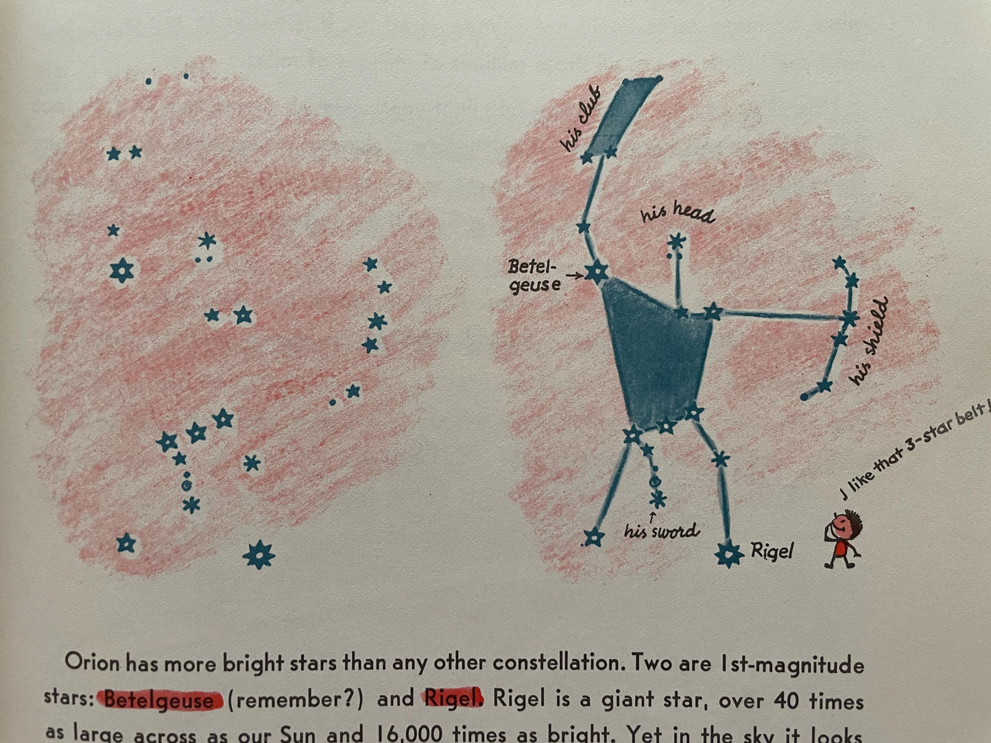 Find the Constellations (revised edition) by H.A. Rey