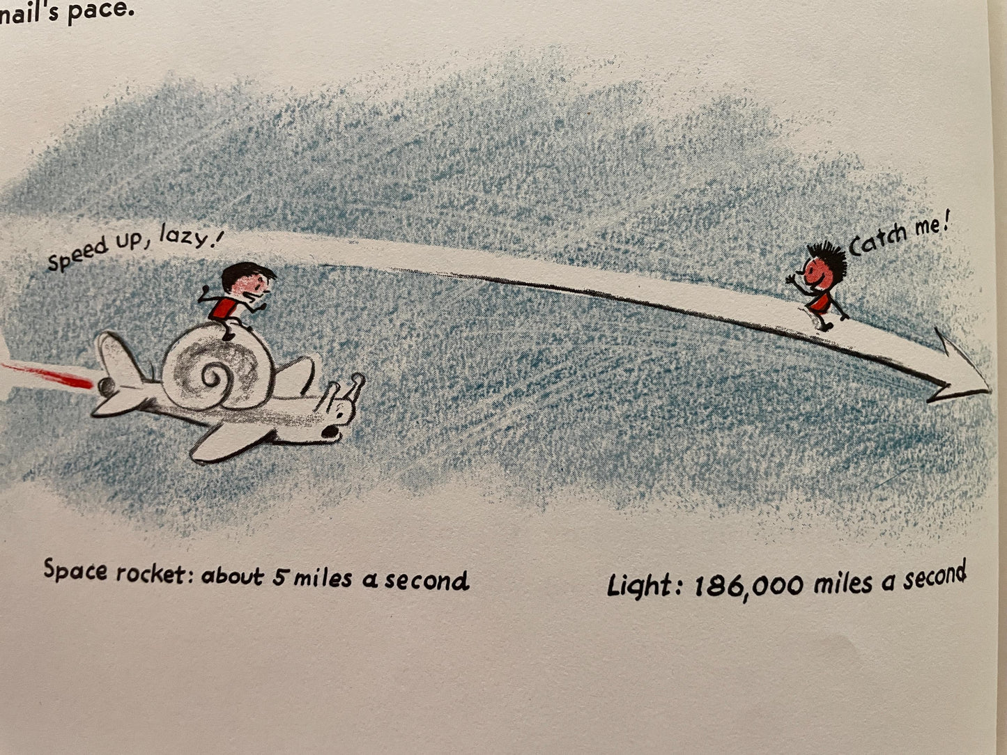 Find the Constellations (revised edition) by H.A. Rey