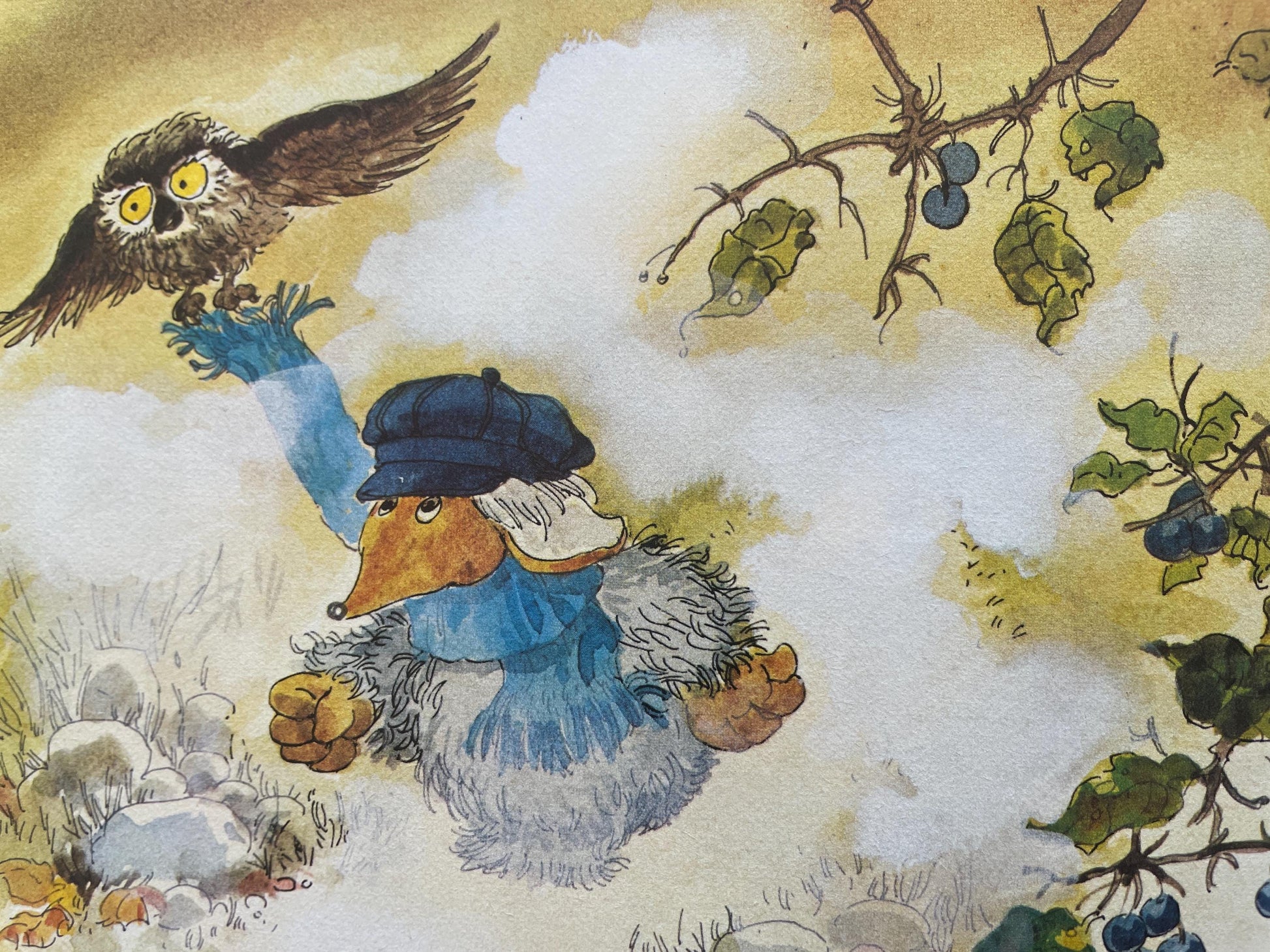 The Wombles Annual 1978 BBC, illustrations by Edgar Hodges and David Fryer