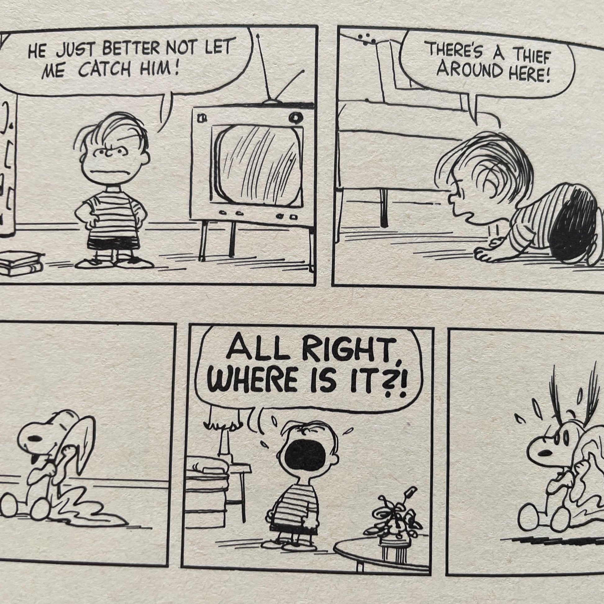 We're Right Behind You Charlie Brown, A Peanuts Book by Charles M. Schulz