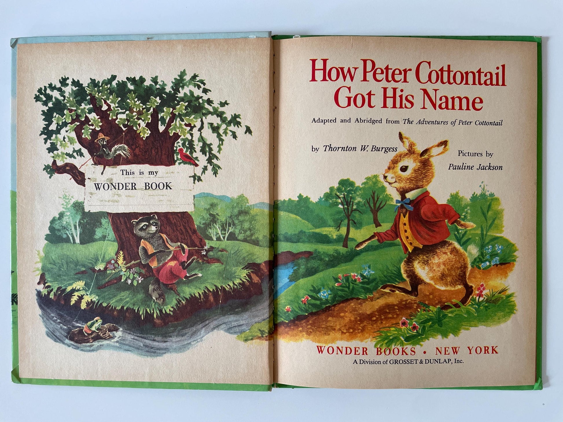 How Peter Cottontail Got His Name by Thornton Burgess