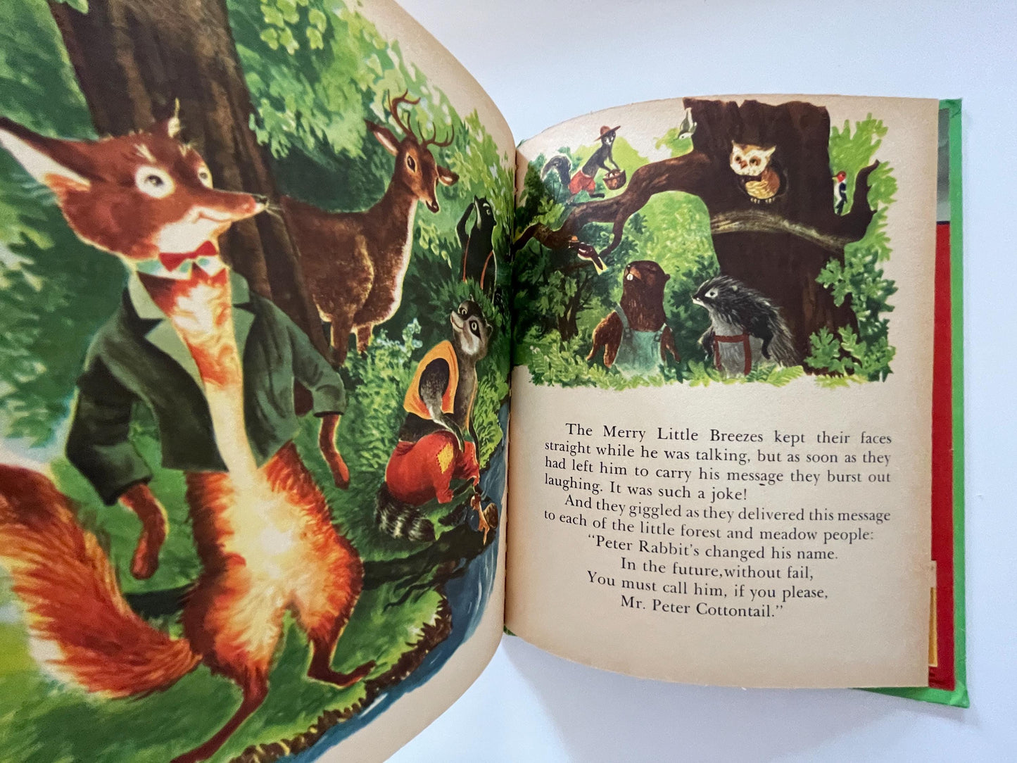 How Peter Cottontail Got His Name by Thornton Burgess