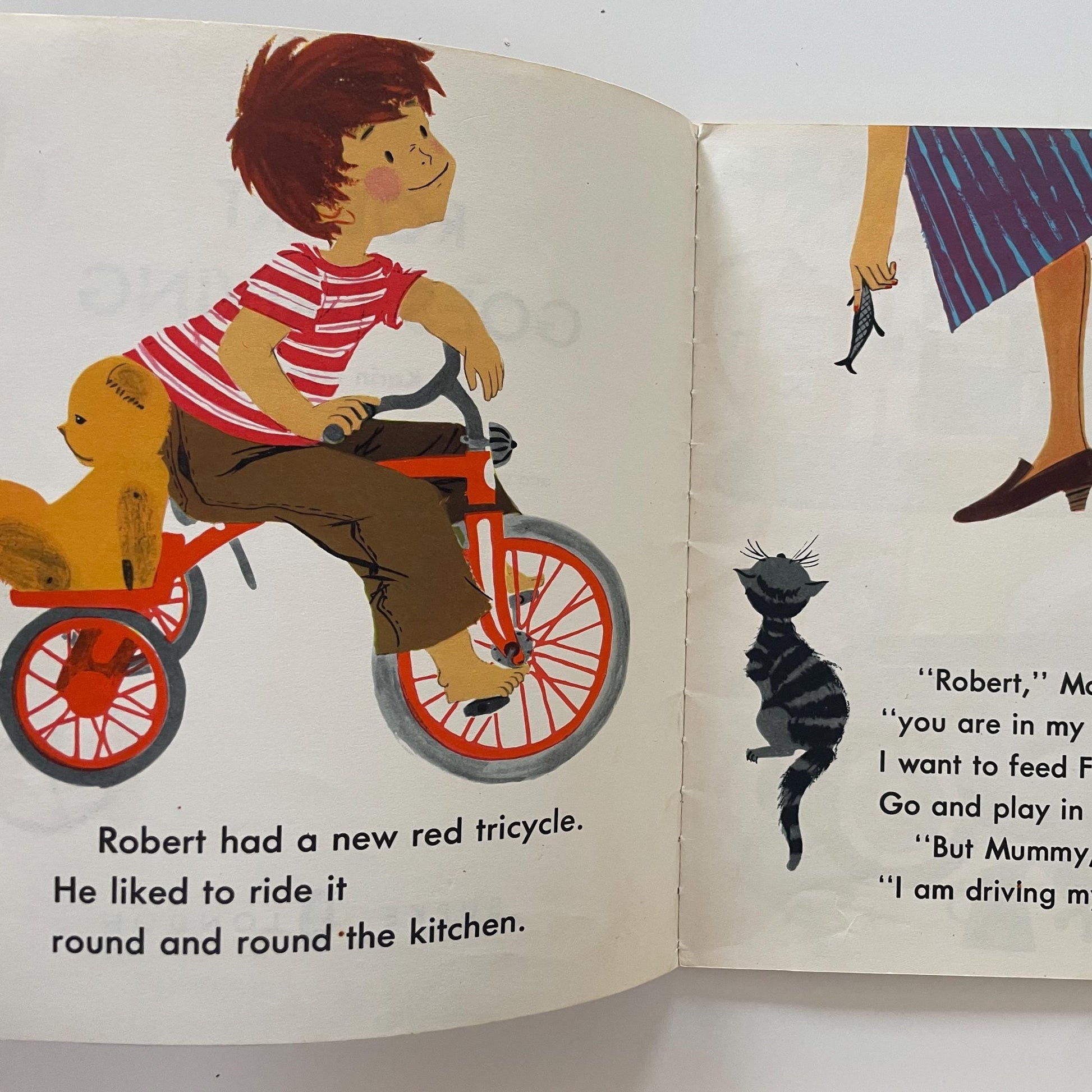 RARE Robert Goes Driving by Karin Nyman, illustrated by Ylva Kallstrom