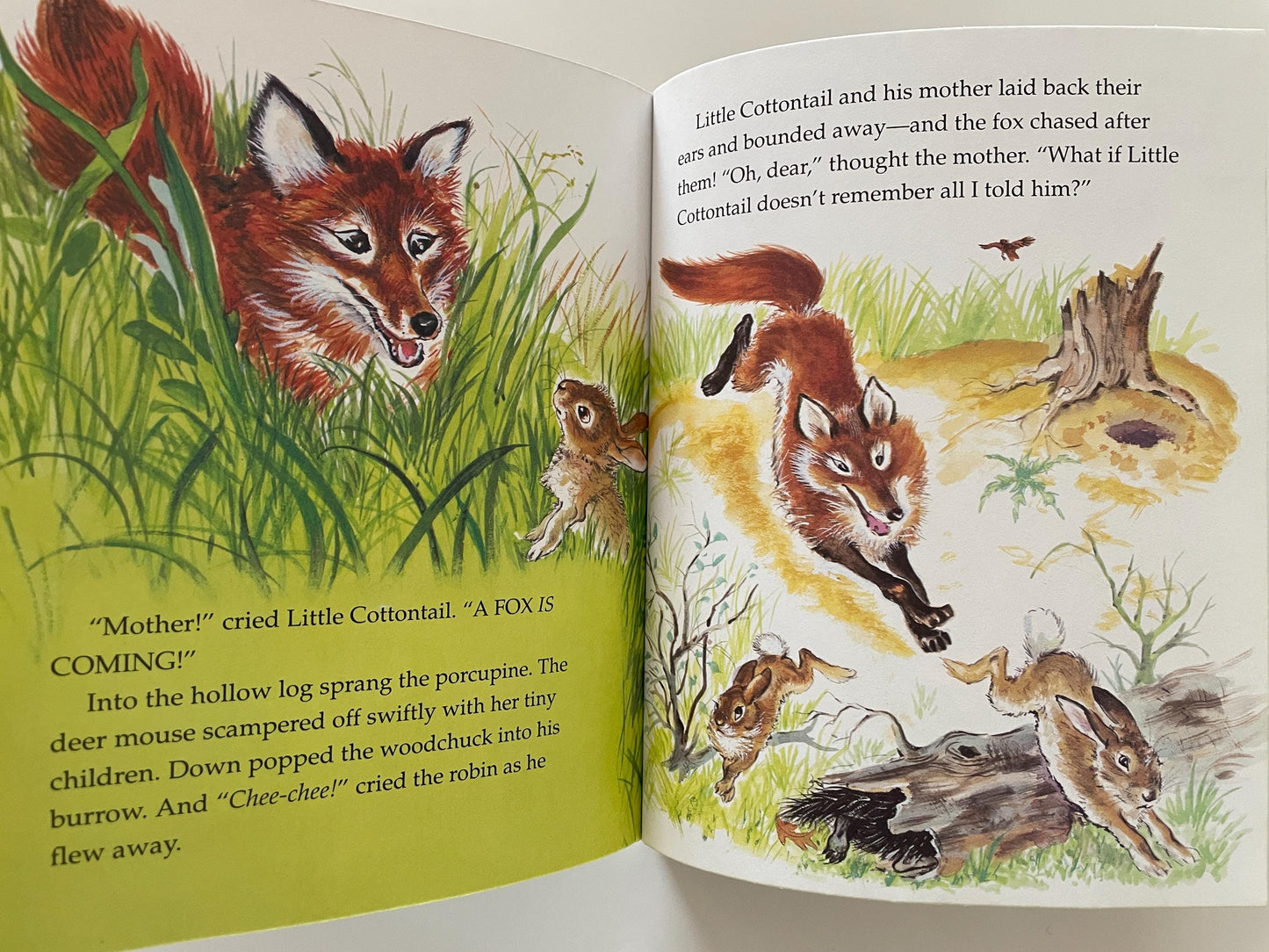 Little Golden Book Bunny Books Bundle! Richard Scarry's The Bunny Book + Little Cottontail + Bunny's New Shoes