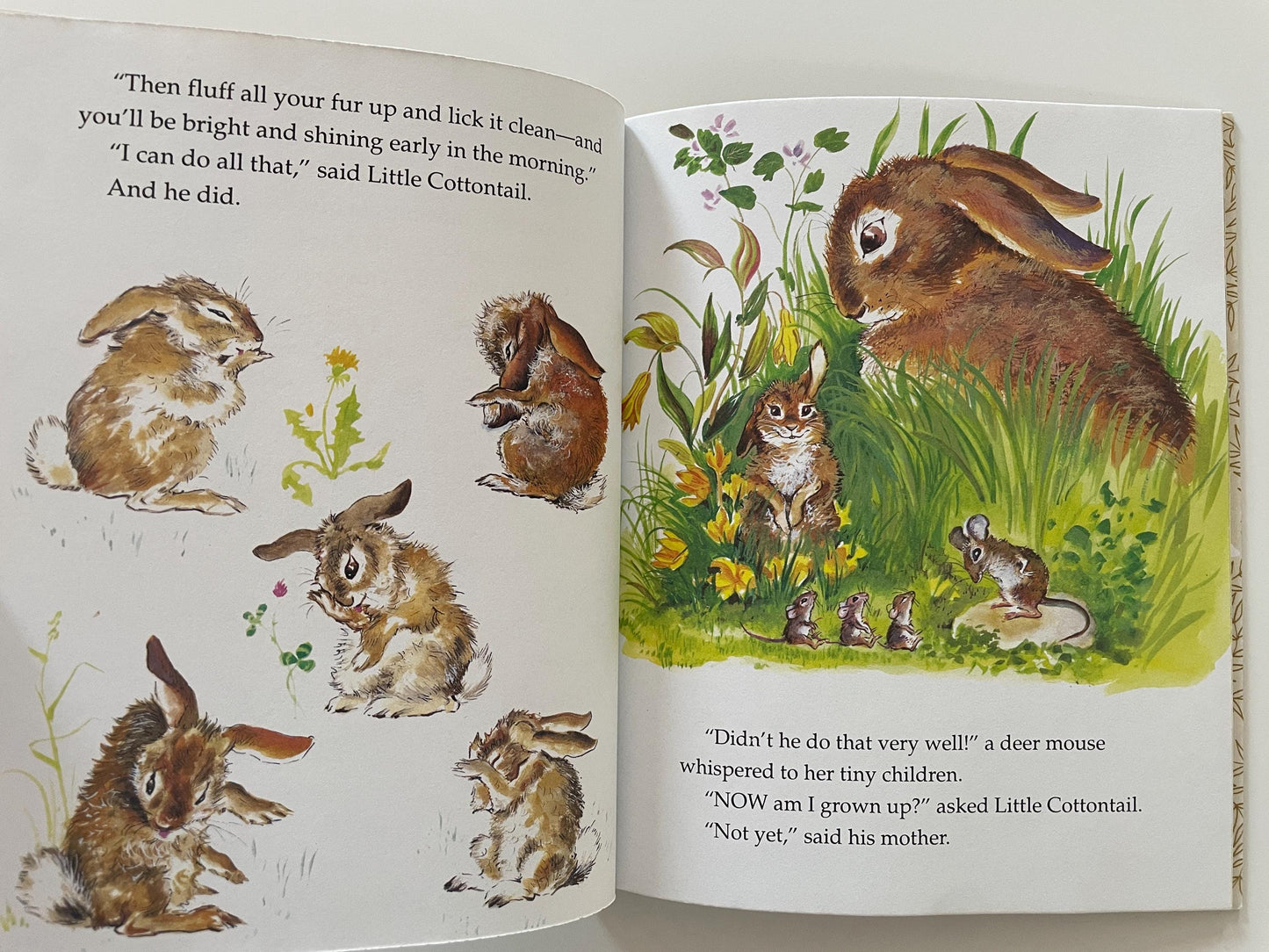 Little Golden Book Bunny Books Bundle! Richard Scarry's The Bunny Book + Little Cottontail + Bunny's New Shoes