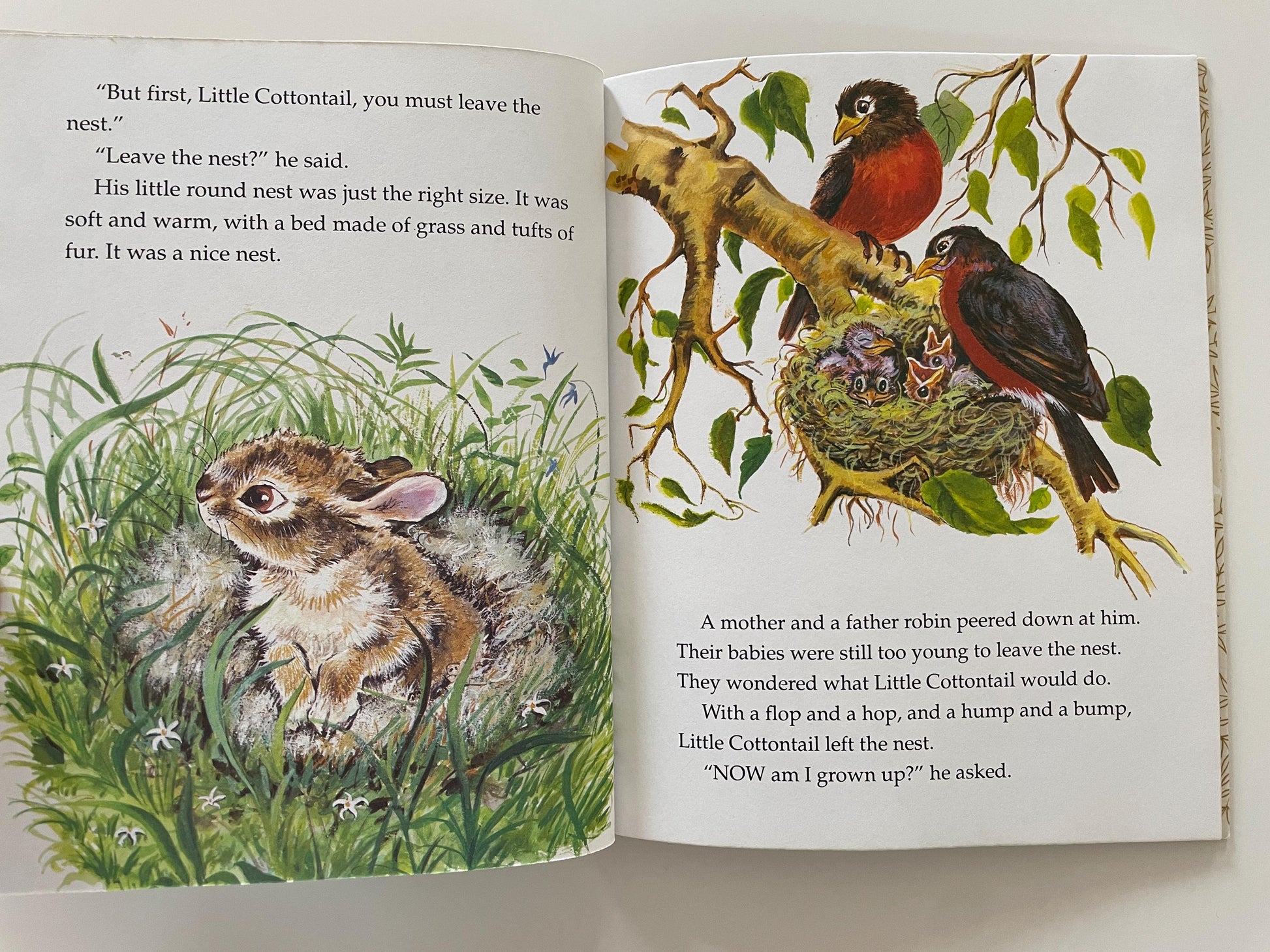 Little Golden Book Bunny Books Bundle! Richard Scarry's The Bunny Book + Little Cottontail + Bunny's New Shoes