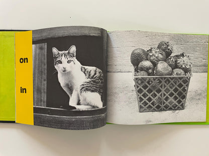 Over, Under & Through