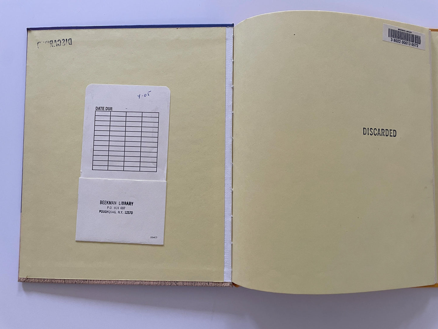 Magic by Cathy Cashion, illustrated by Sally Shimizu