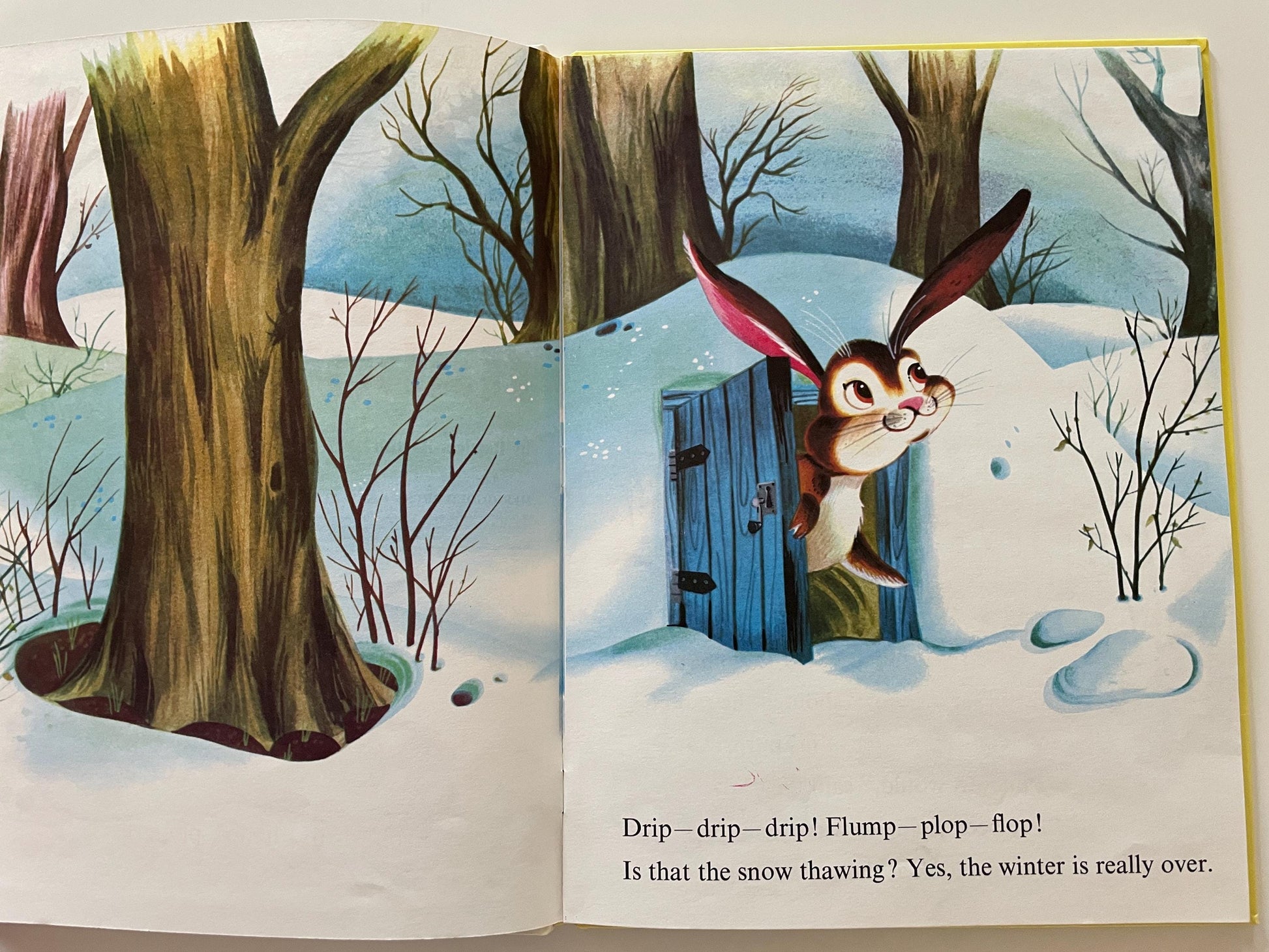 The Happy Rabbit by Patricia Barton