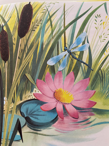 The Happy Rabbit by Patricia Barton