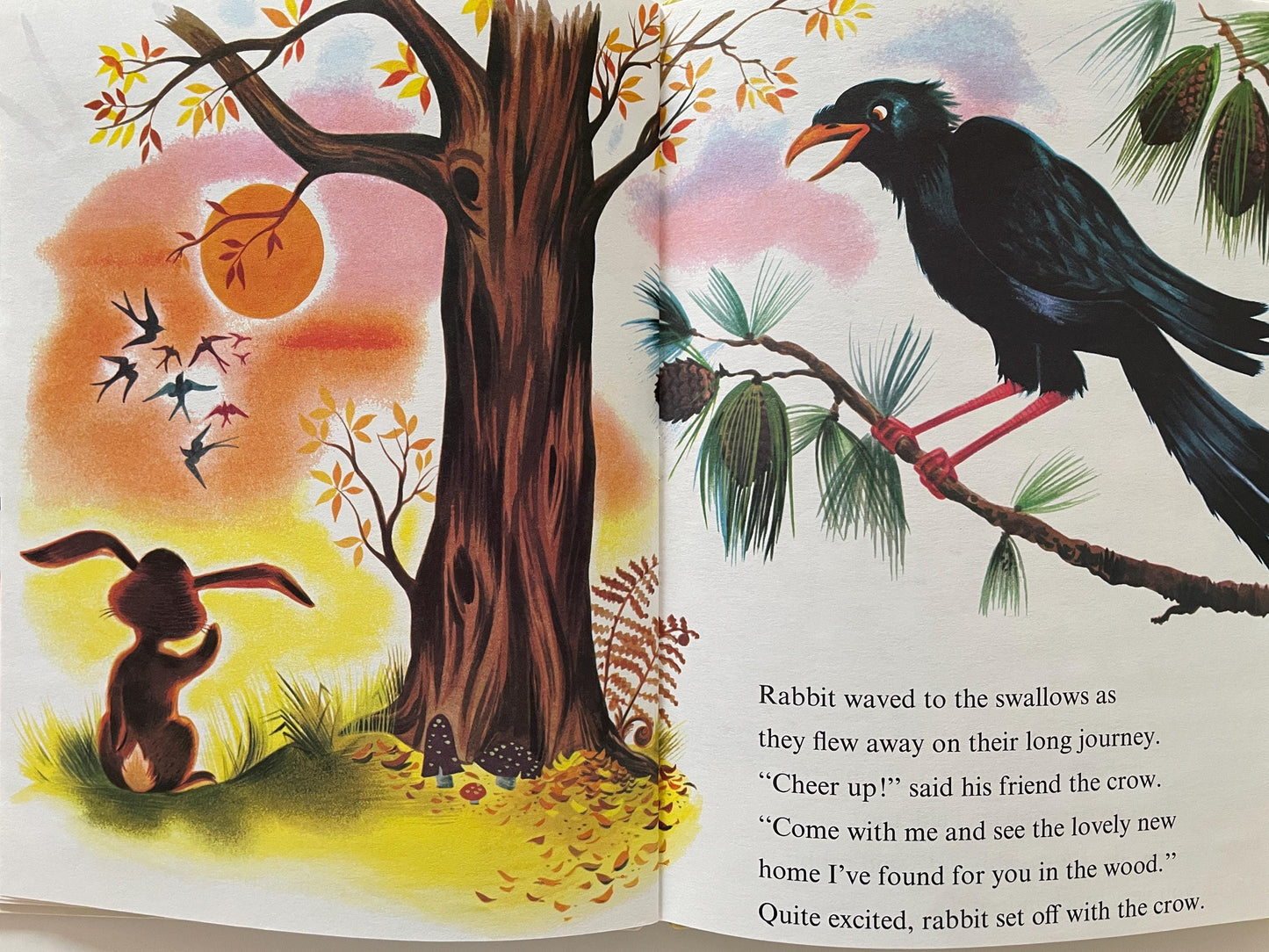 The Happy Rabbit by Patricia Barton