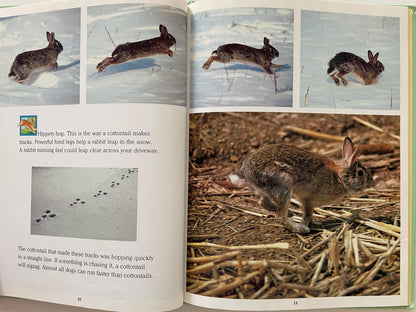 Cottontails: Little Rabbits of Field and Forest, National Geographic Books for Young Explorers