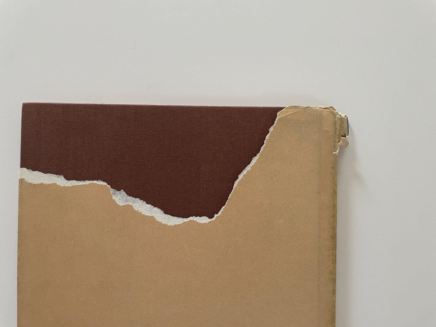 The Lost Kingdom of Karnica by Richard Kennedy, illustrated by Uri Shulevitz