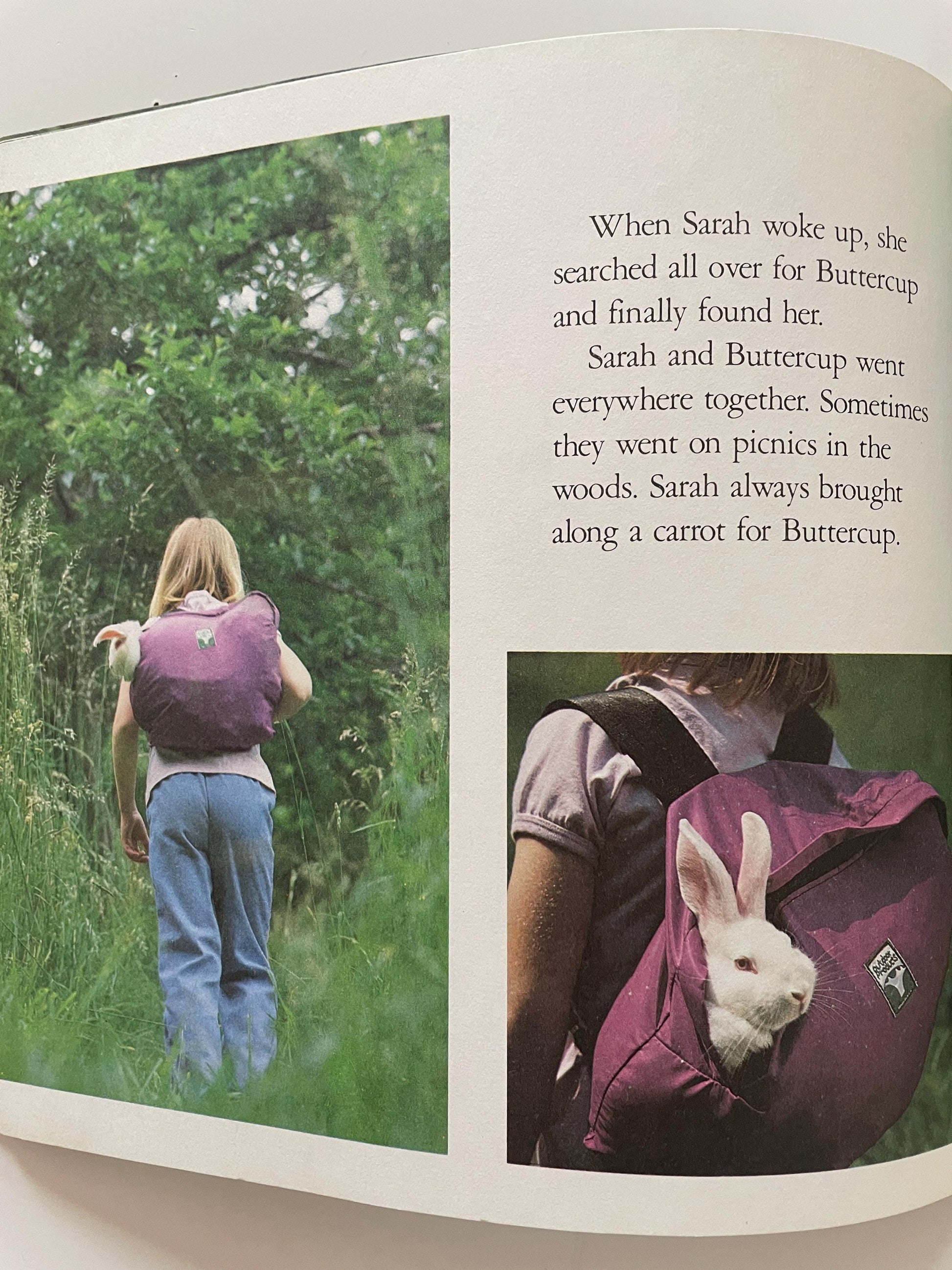 The Little Rabbit by Judy Dunn, Photographs by Phoebe Dunn