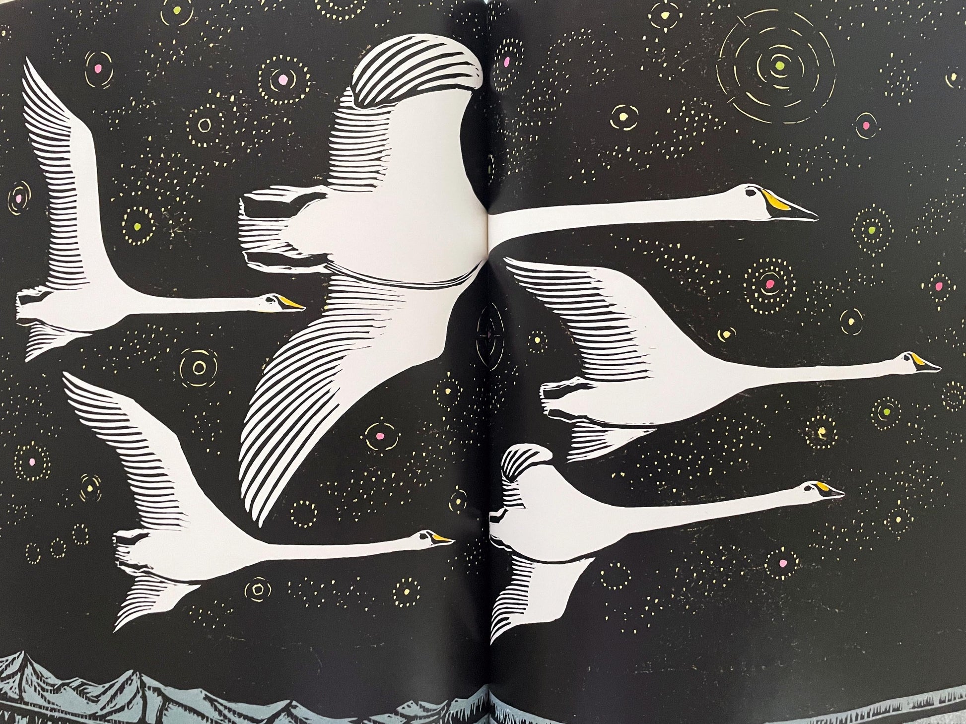 Swan Sky