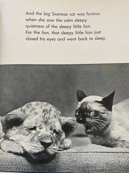 RARE The Sleepy Little Lion by Margaret Wise Brown, photographs by Ylla