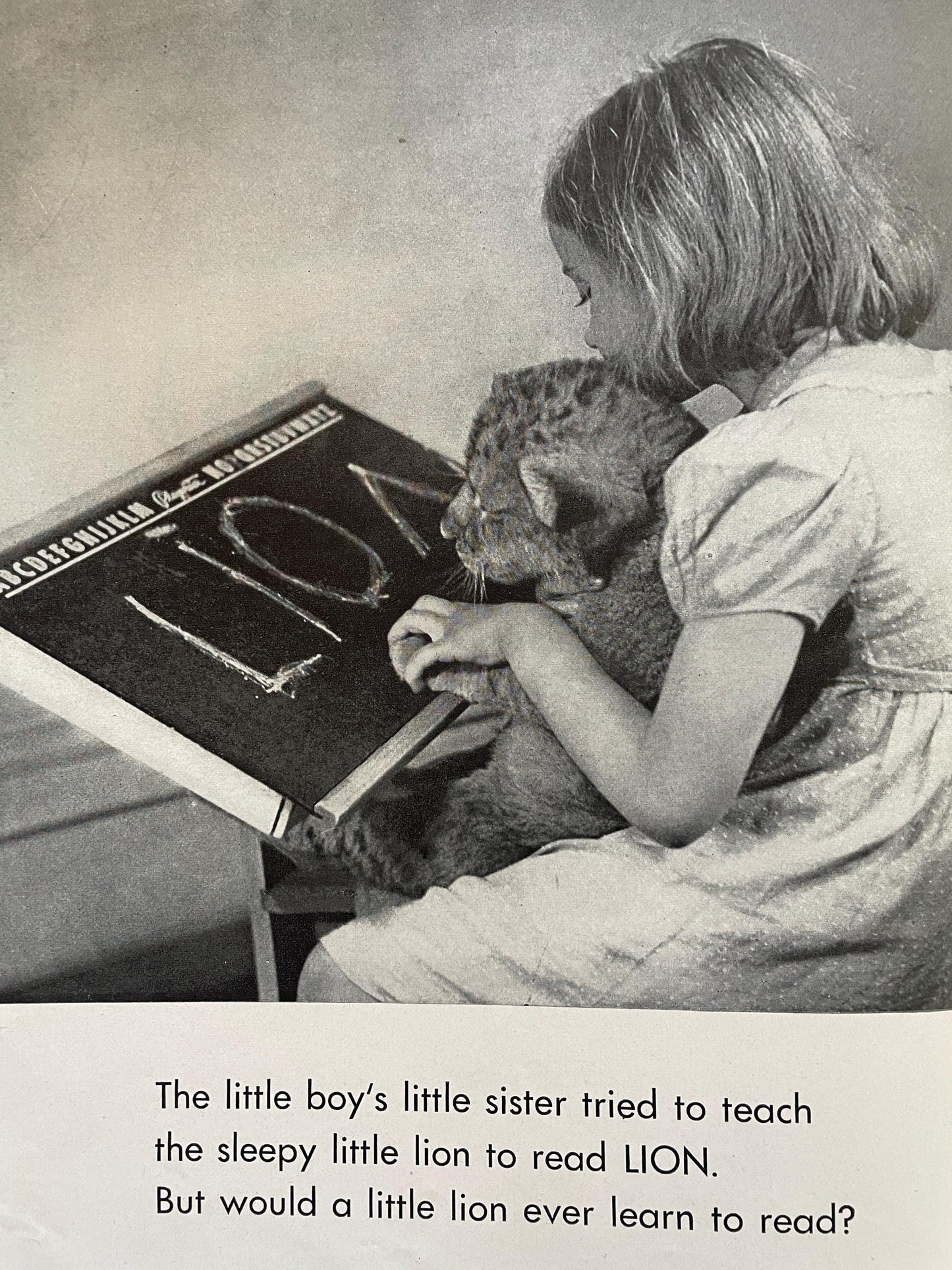 RARE The Sleepy Little Lion by Margaret Wise Brown, photographs by Ylla