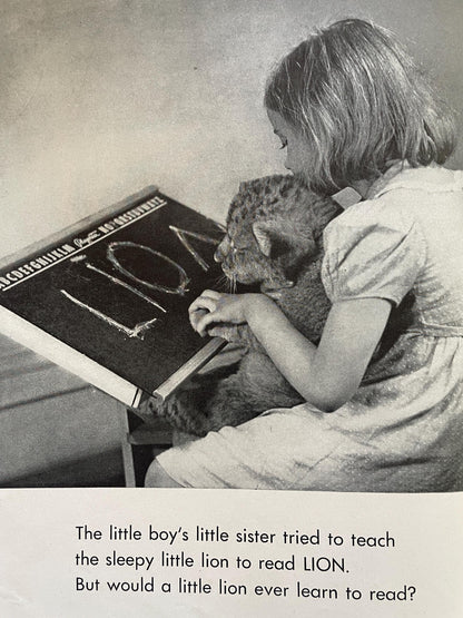 RARE The Sleepy Little Lion by Margaret Wise Brown, photographs by Ylla
