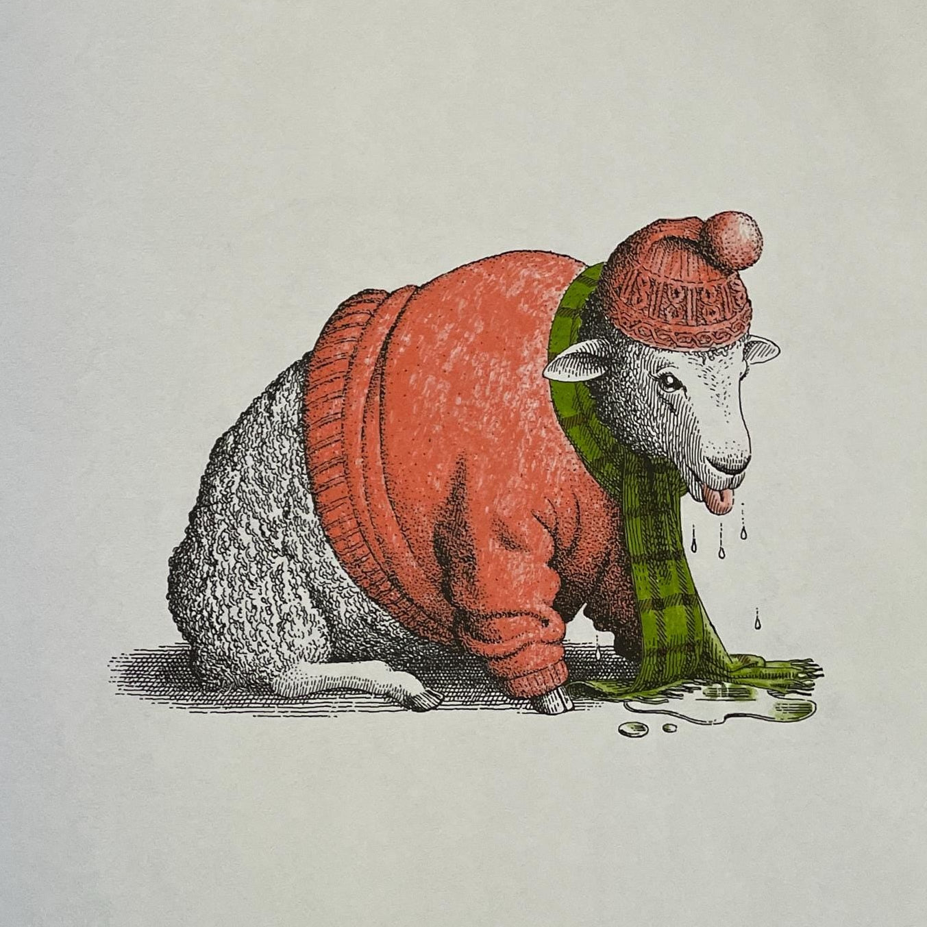 Animals should definitely not wear clothing by Judi Barrett, illustrations by Ron Barrett