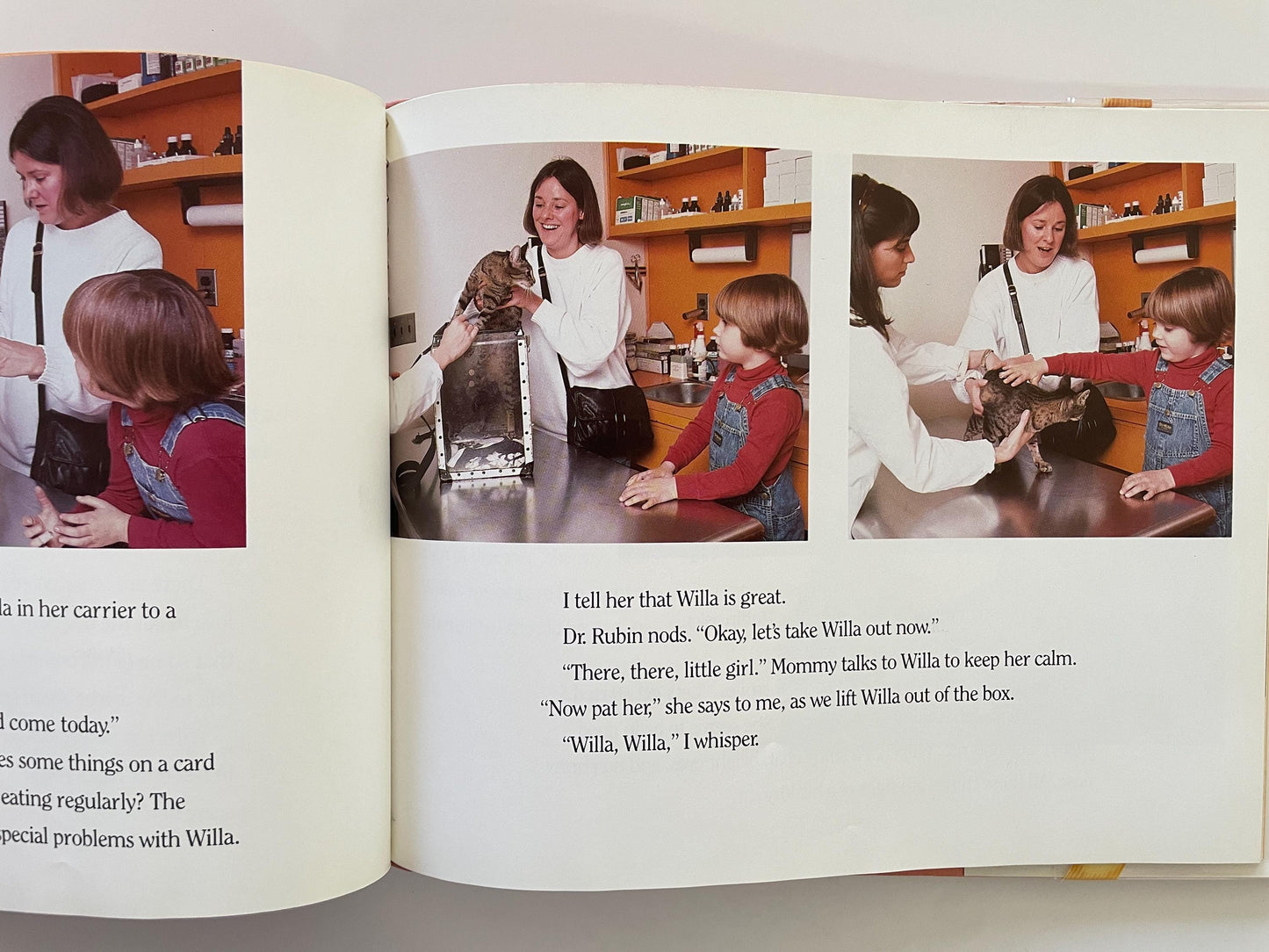 Taking My Cat to the Vet by Susan Kuklin