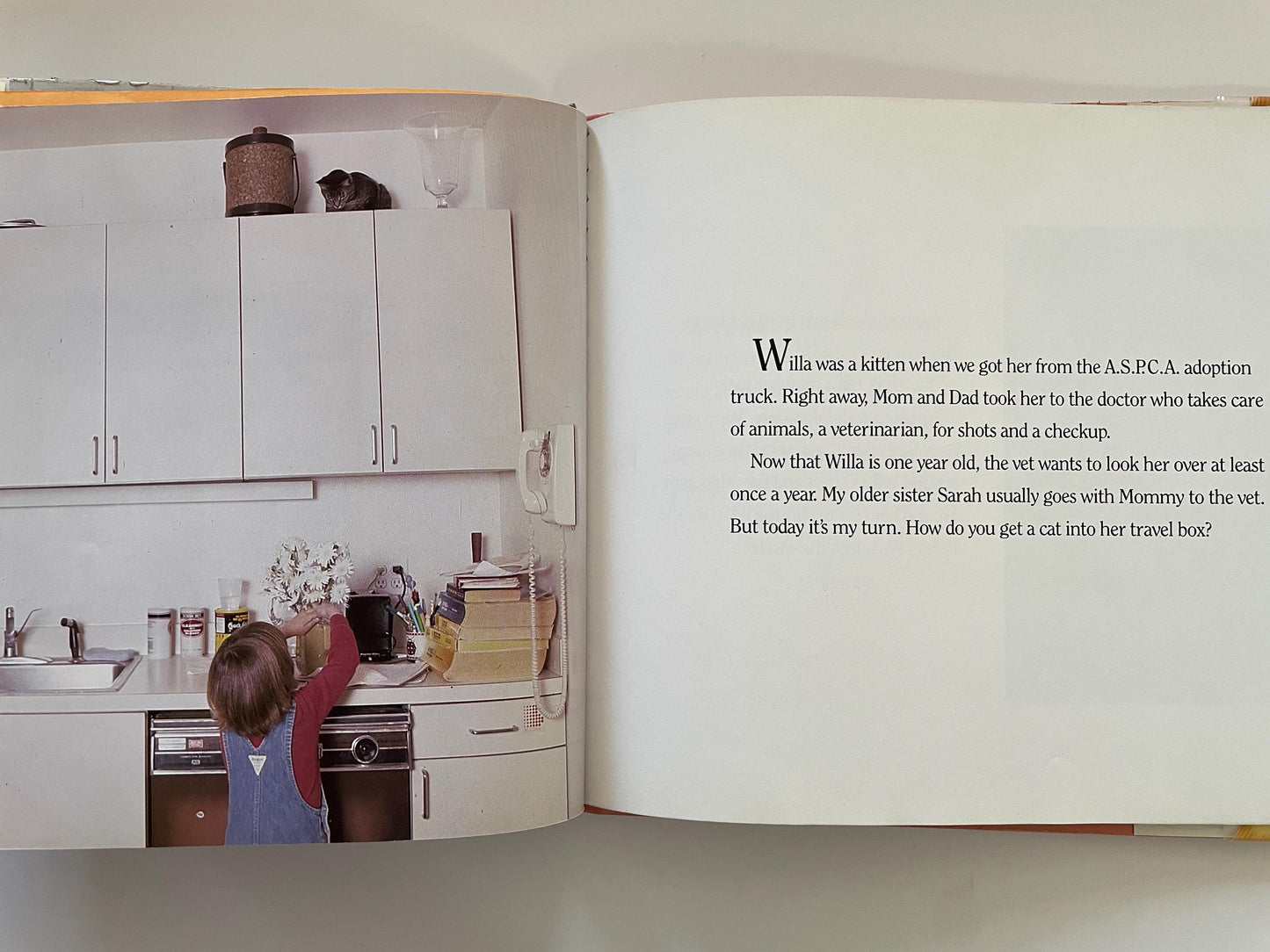 Taking My Cat to the Vet by Susan Kuklin