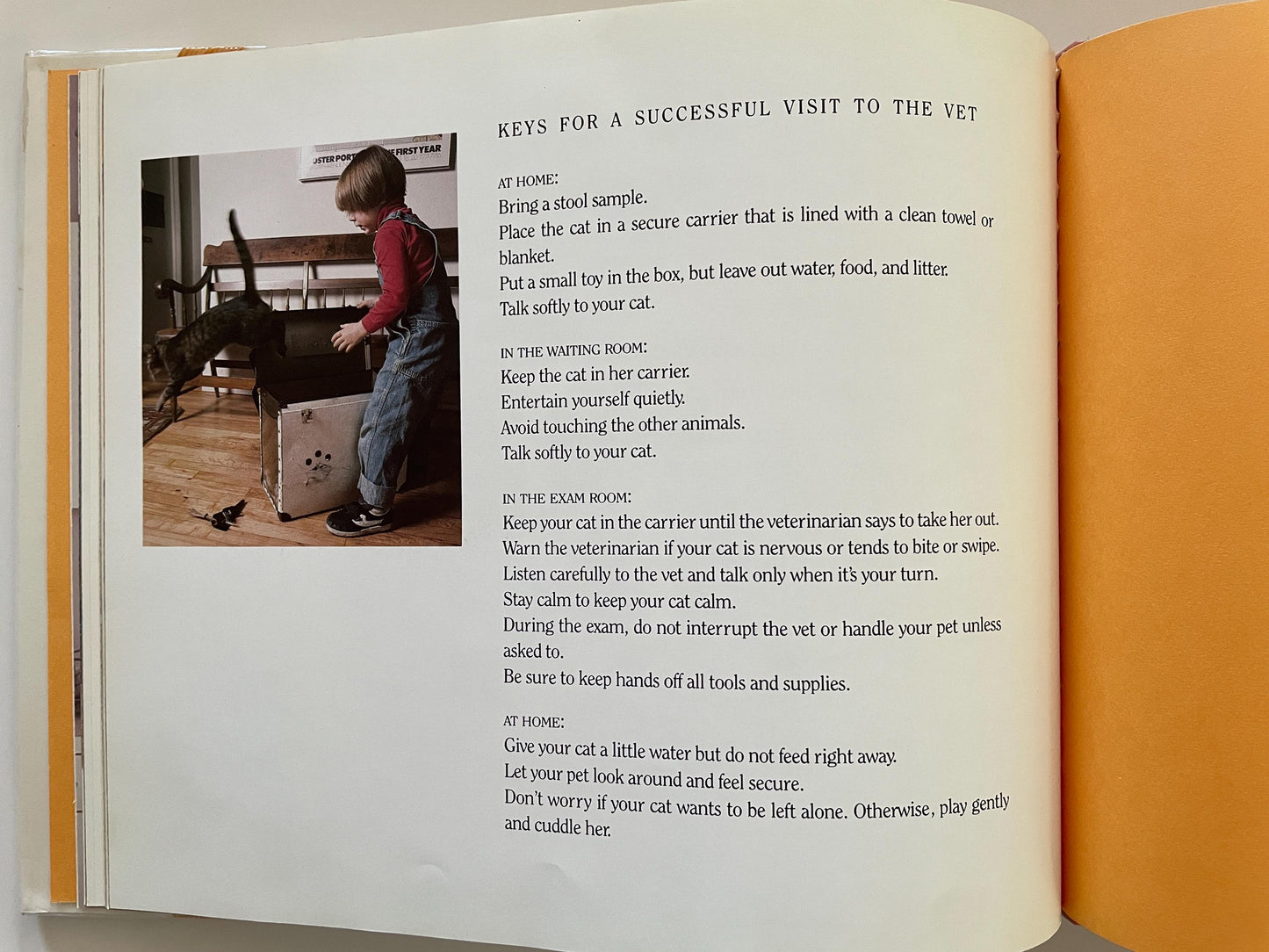 Taking My Cat to the Vet by Susan Kuklin