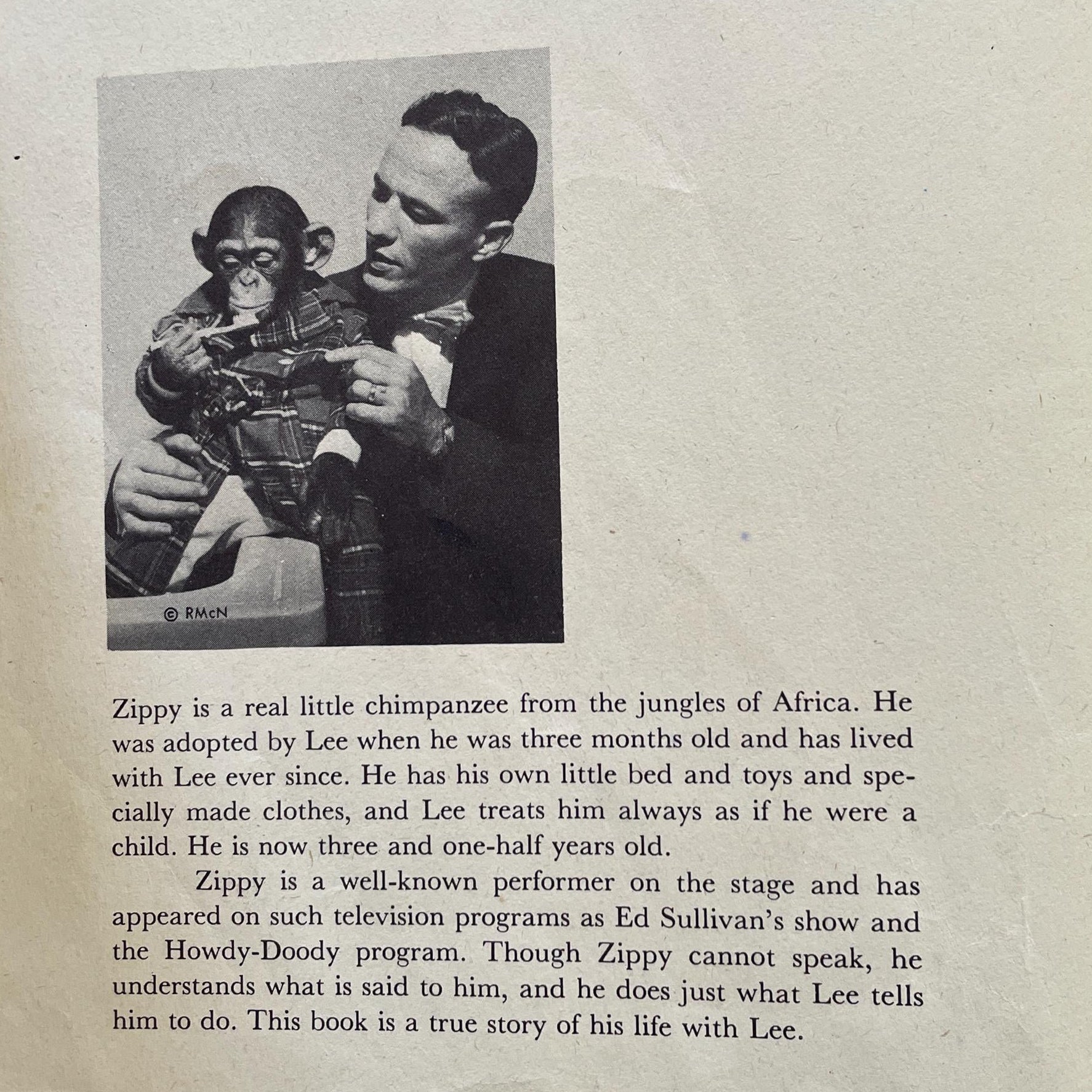 RARE Zippy the Chimp by Lee Ecuyer, photographs by Ben Mitchell