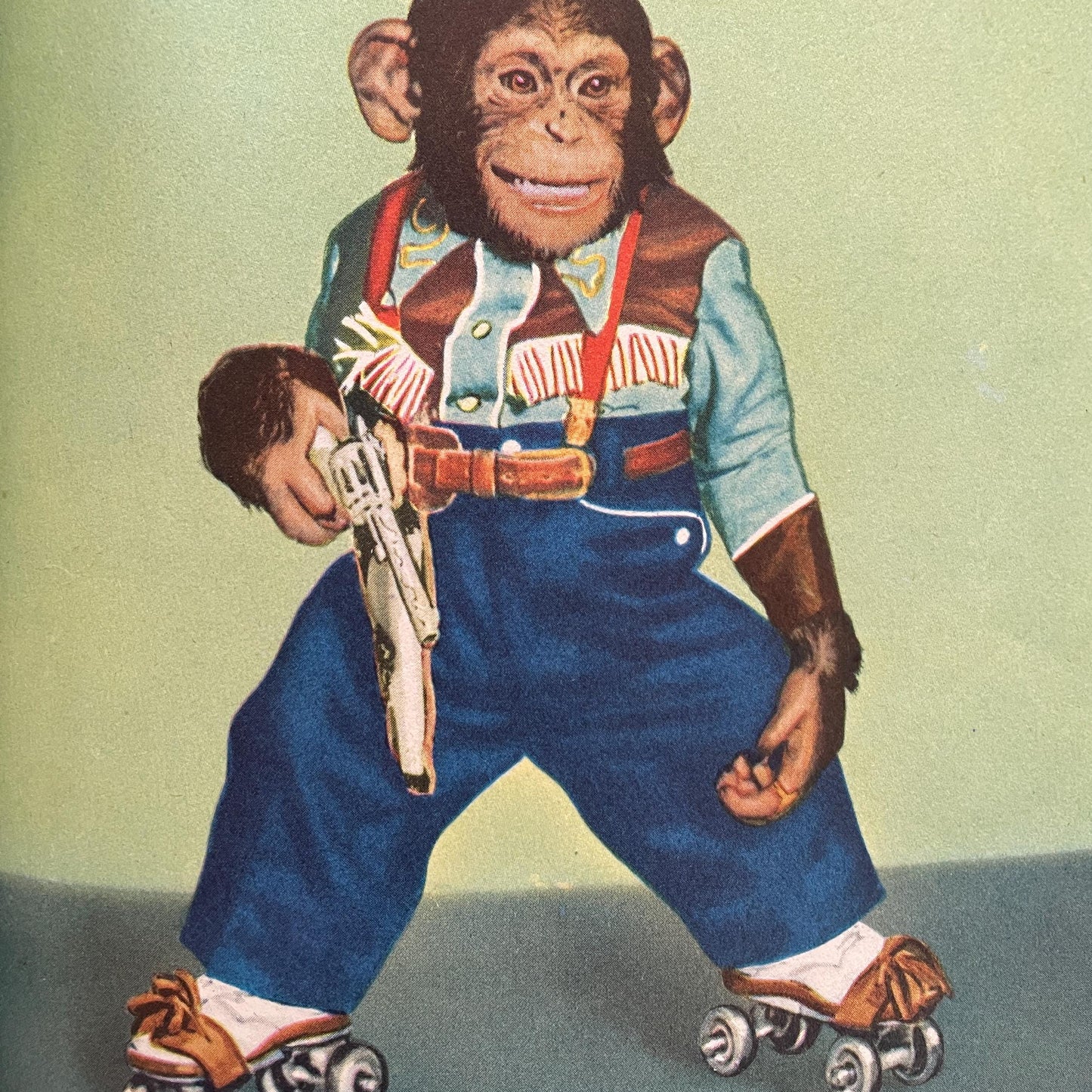 RARE Zippy the Chimp by Lee Ecuyer, photographs by Ben Mitchell